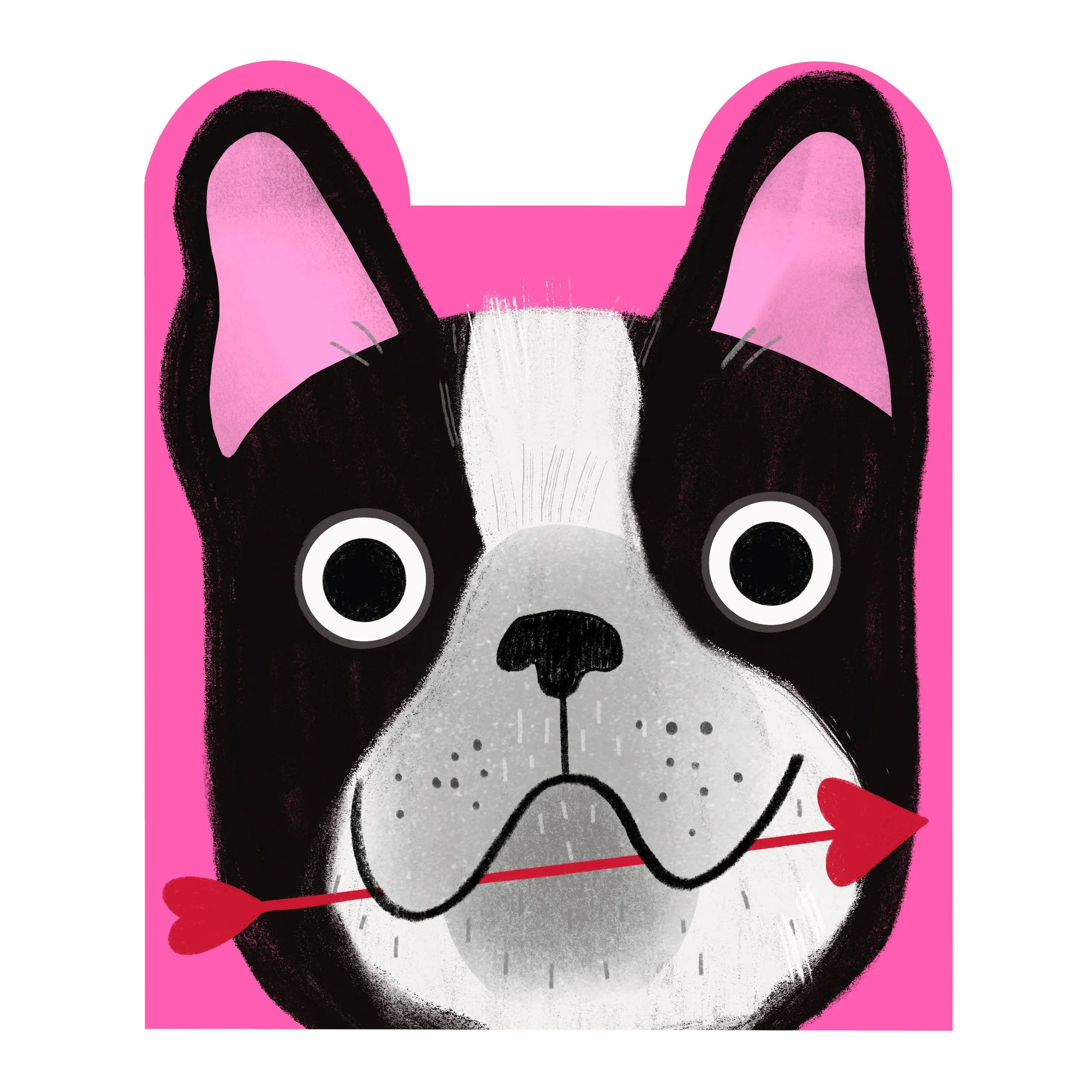 boston.terrier.match.ex.jpg
