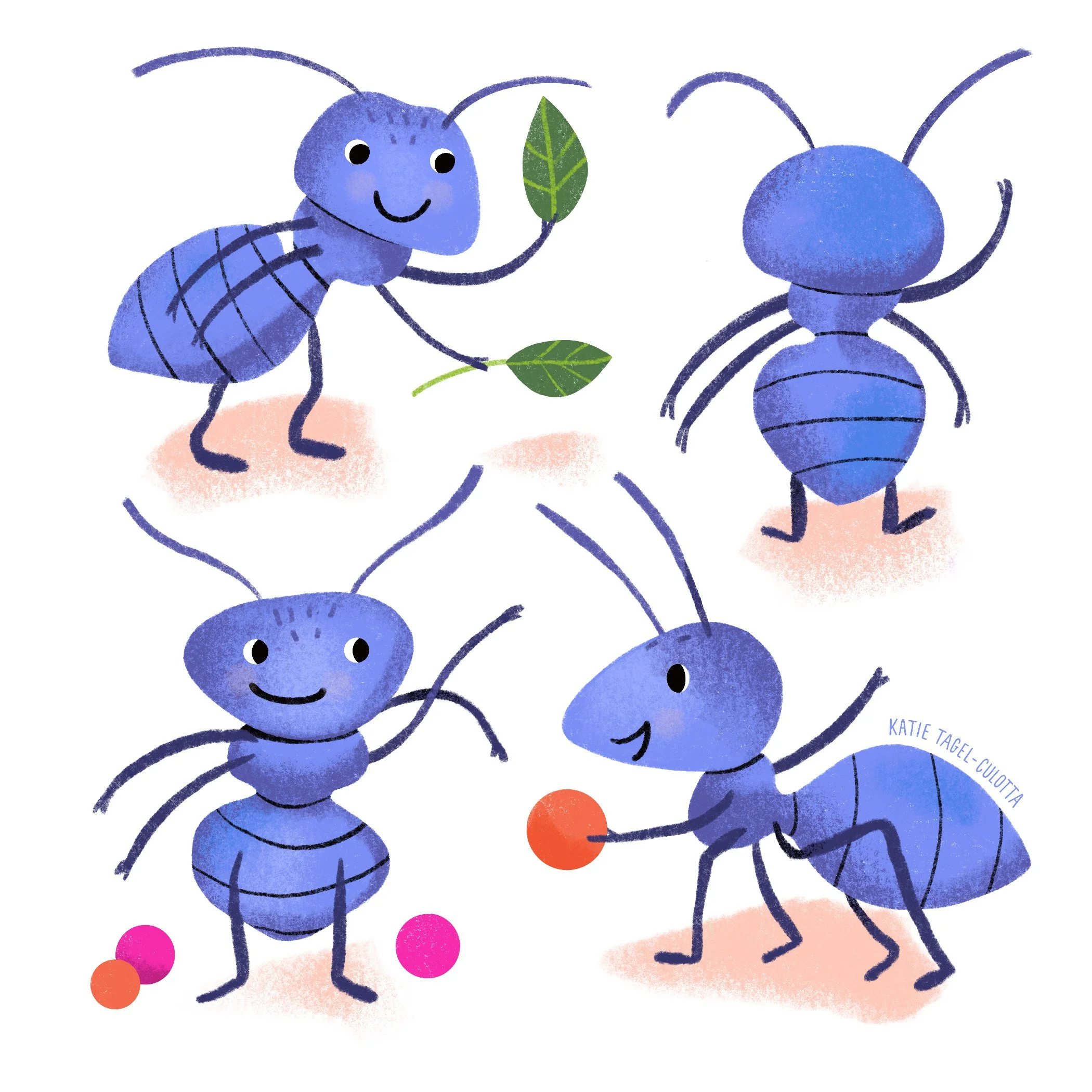 26_Ants.ex.jpg