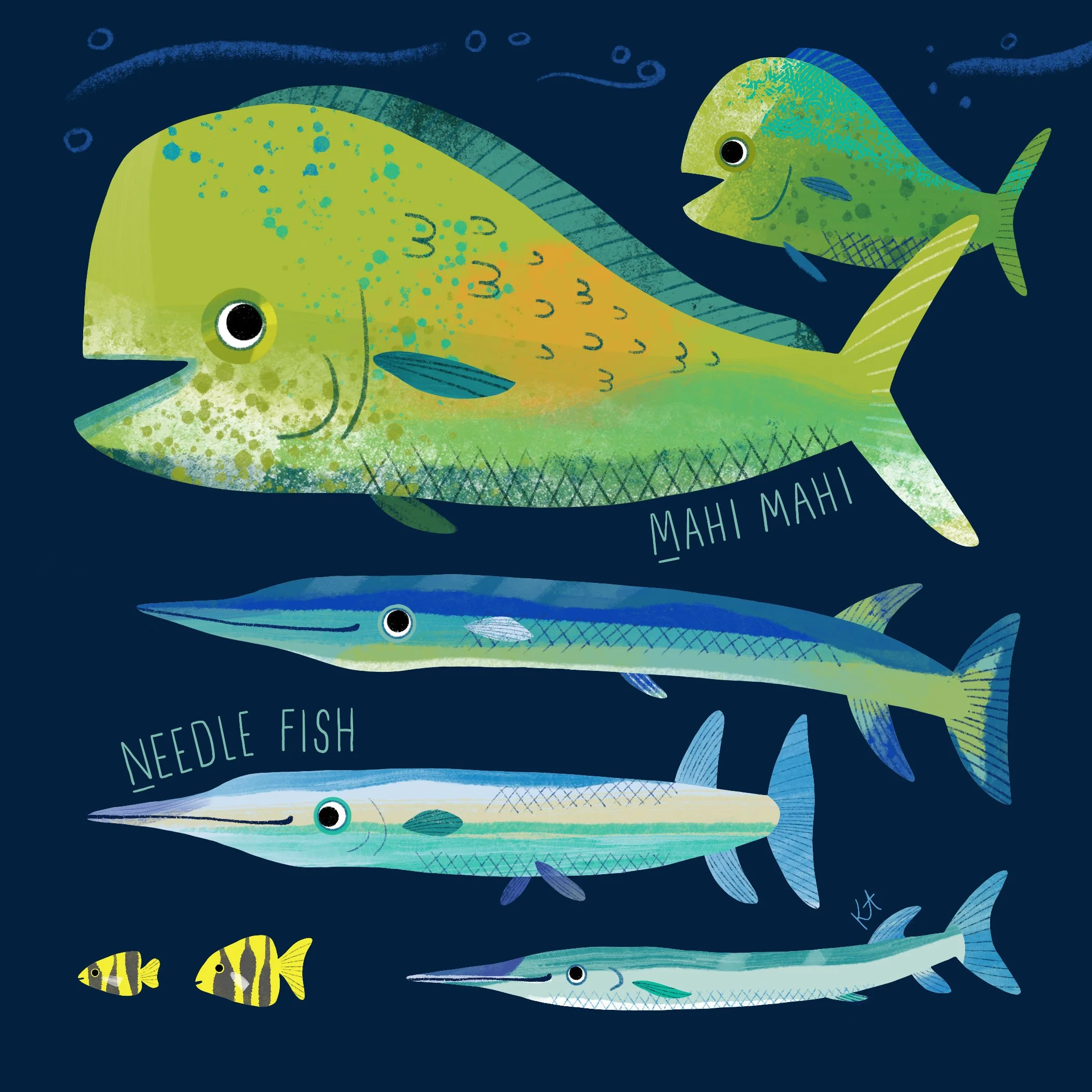 Alphabet Book Concept
