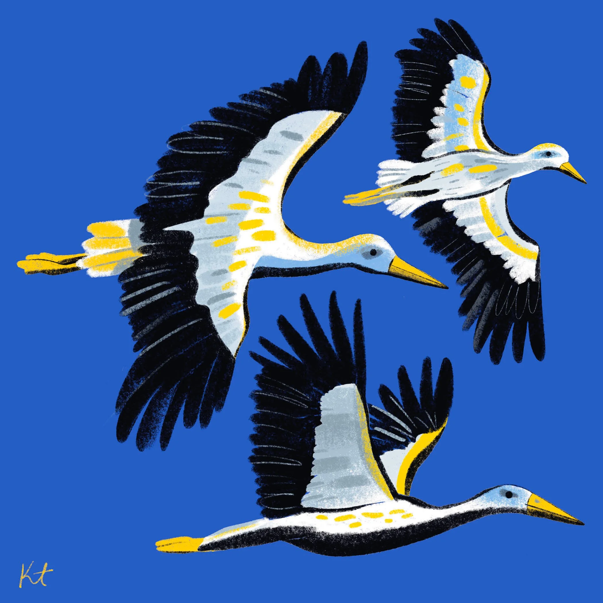 22.PV.1.White_Storks.ex.jpg