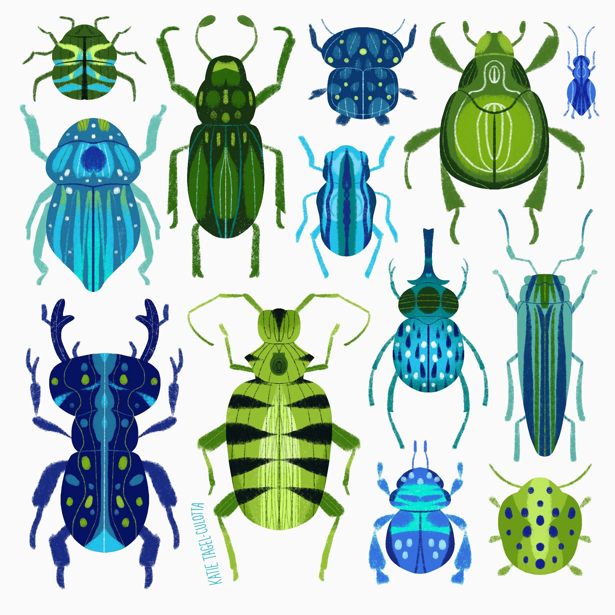 26_Beetles copy.ex.jpg