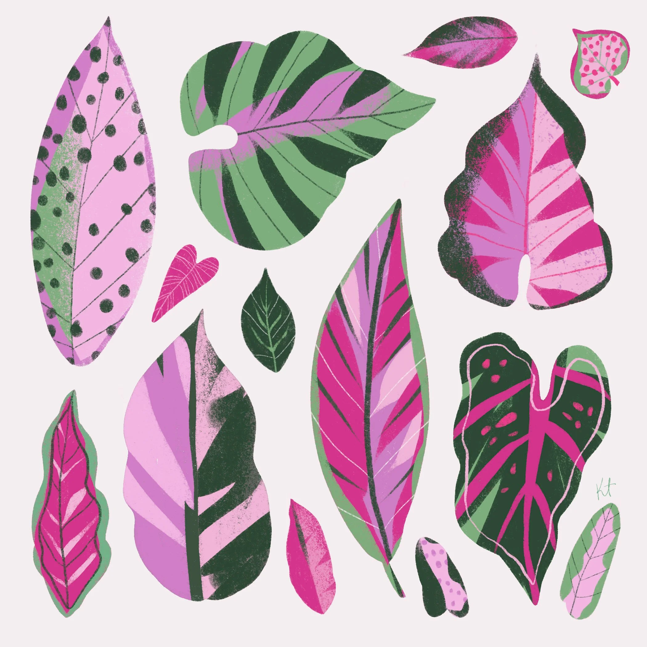 25.Plant_Leaves copy.ex.jpg