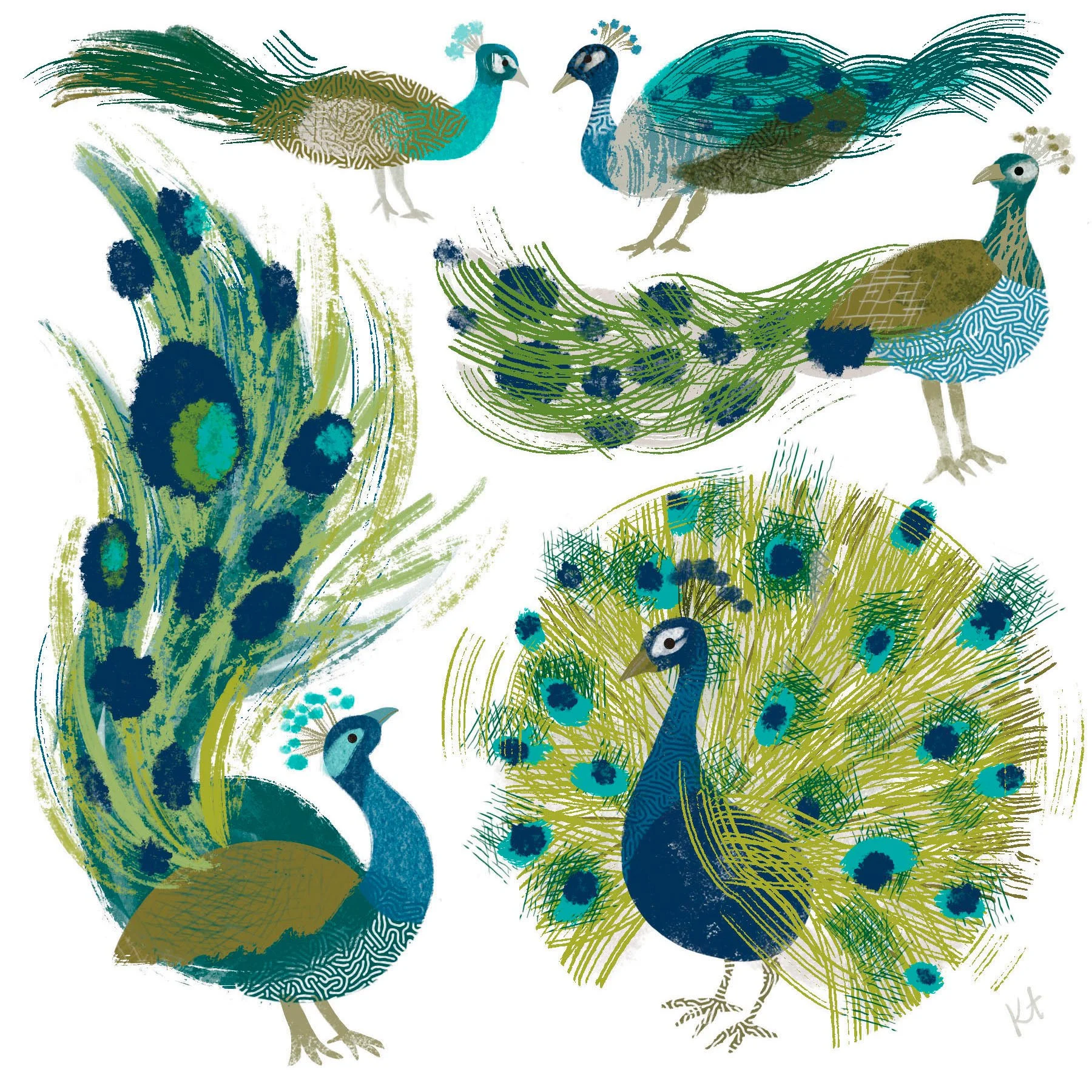 peacocks.copy.cc.ex.jpg
