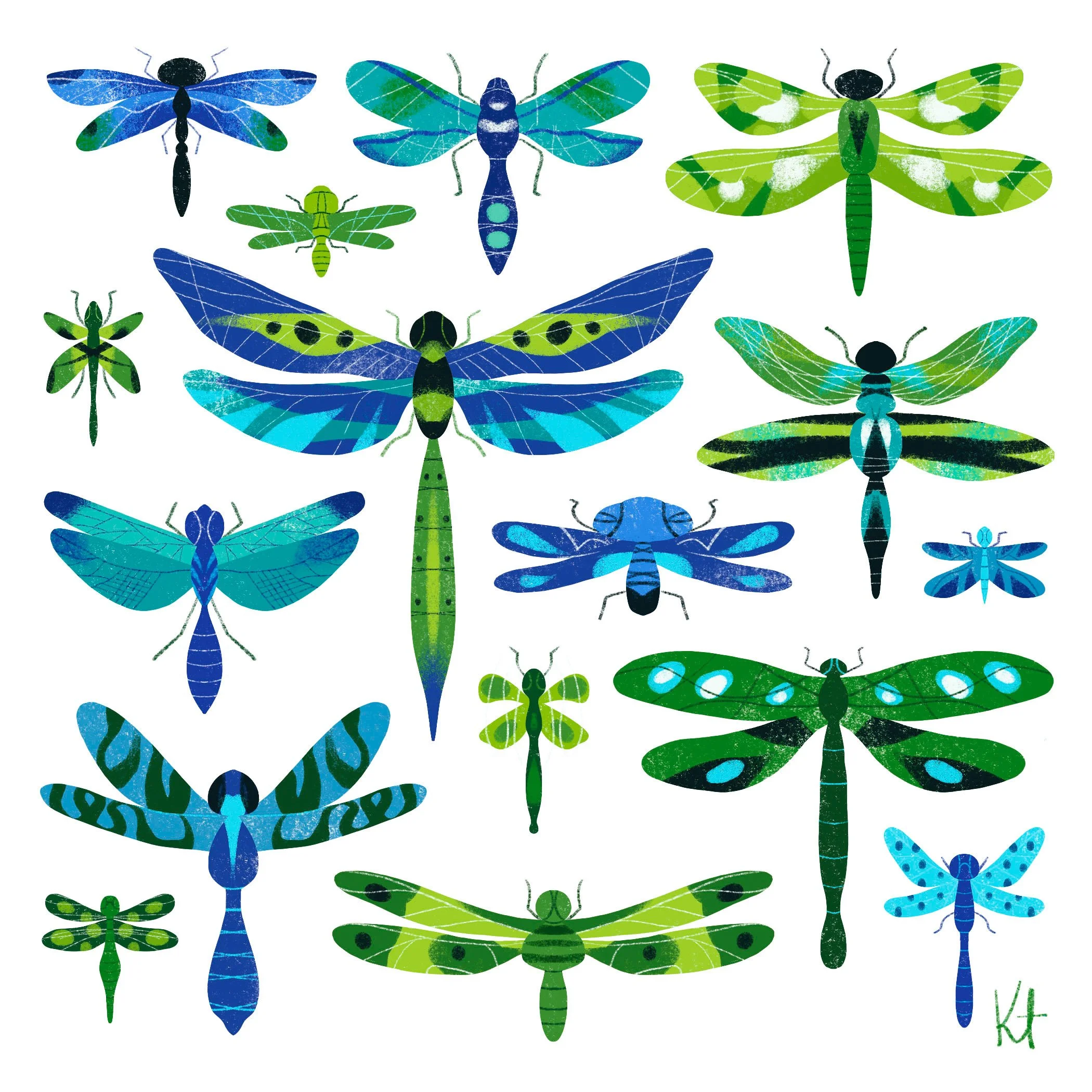 2526.jul.bkg.lighter.Dragonflys.ex.jpg