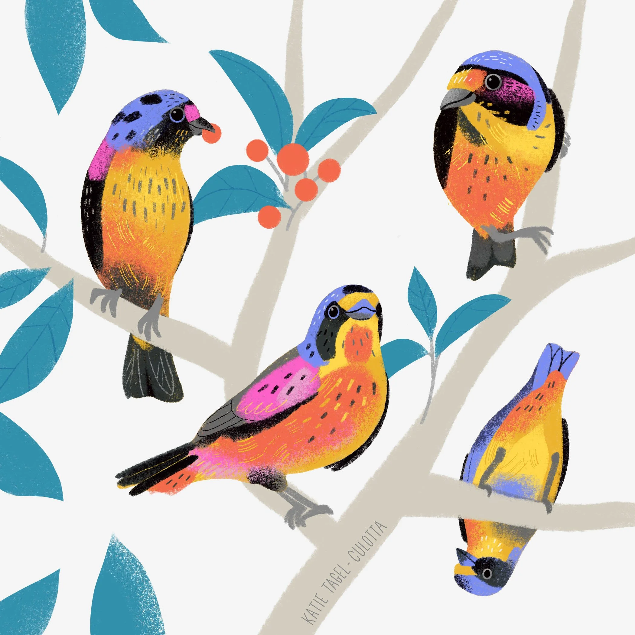 Bird Illustration