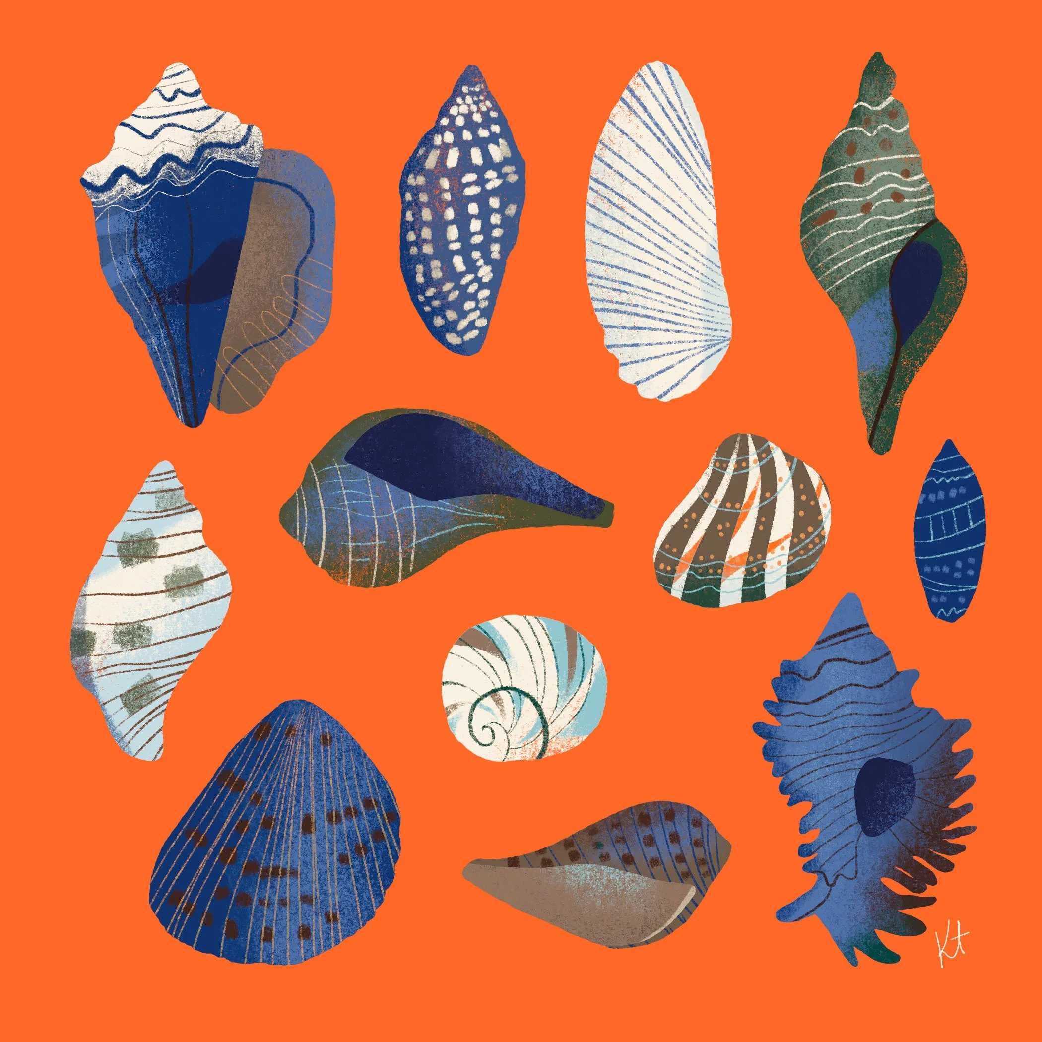 Pattern Illustration