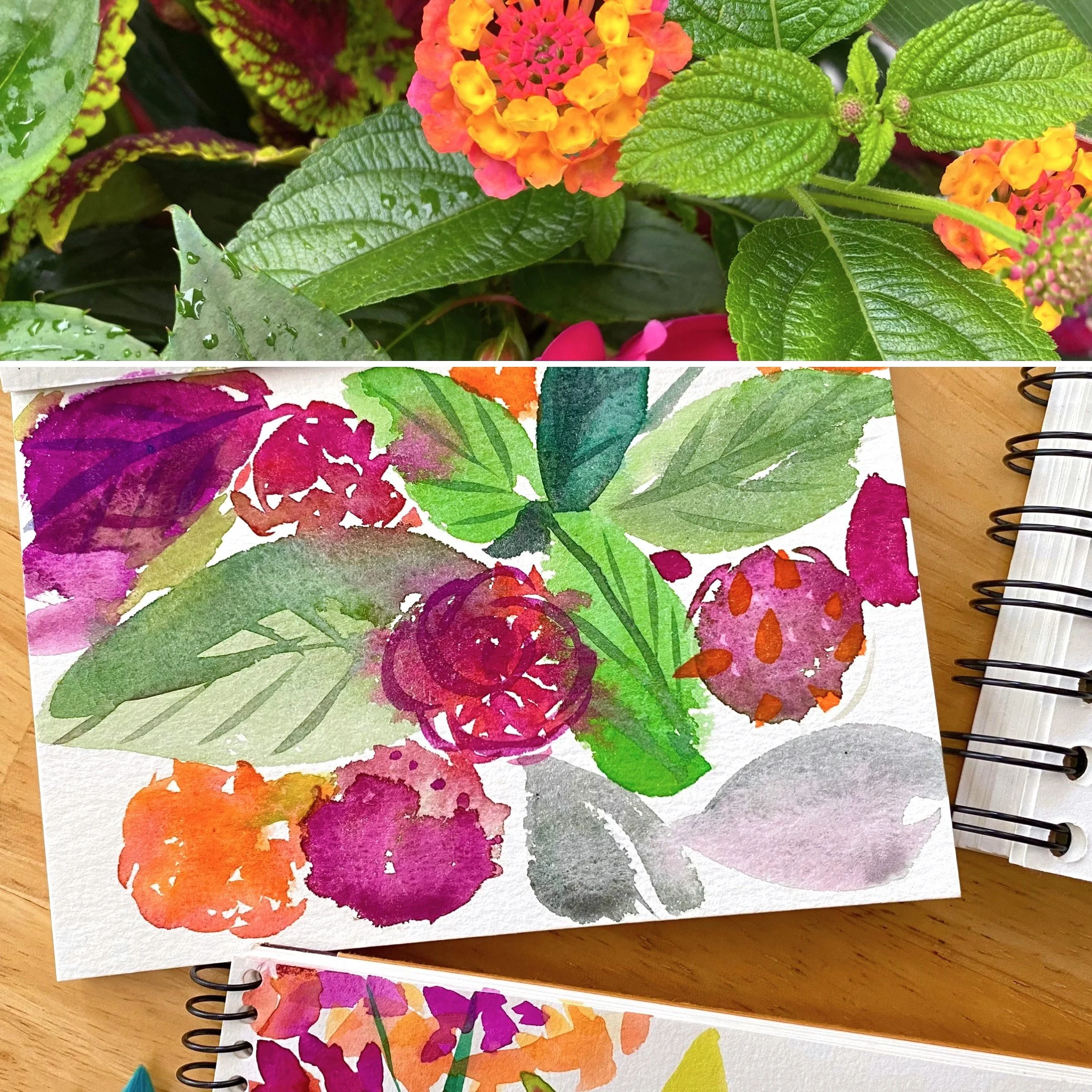 lantana.26.cc.ex.jpg