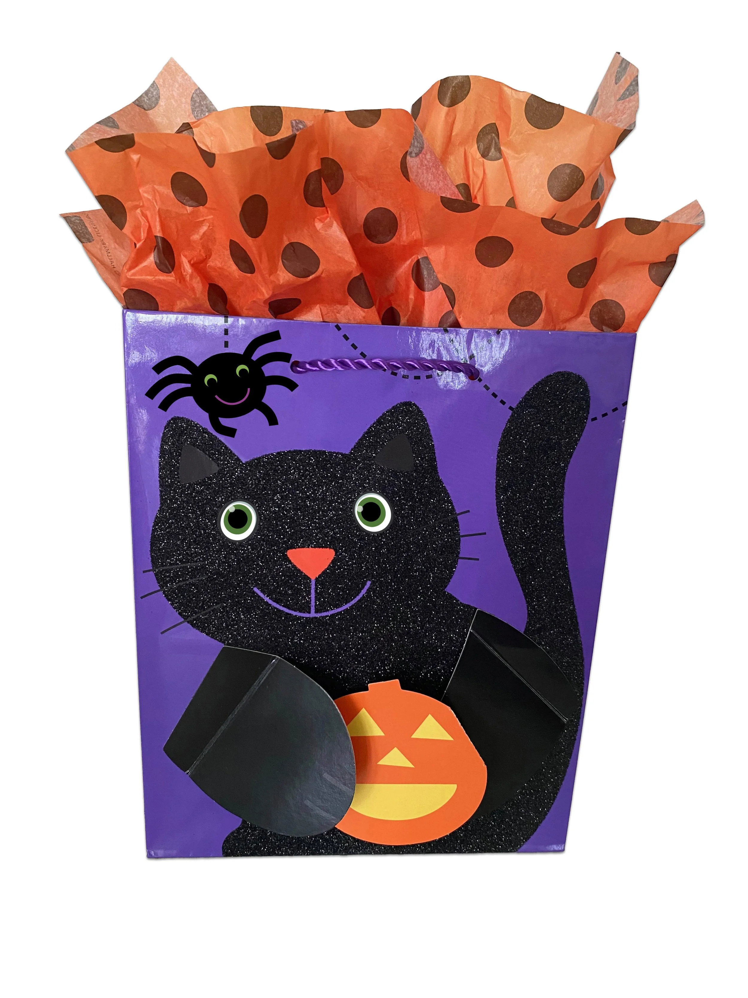 26.IMG_7928.3.4.cat.ex.jpg