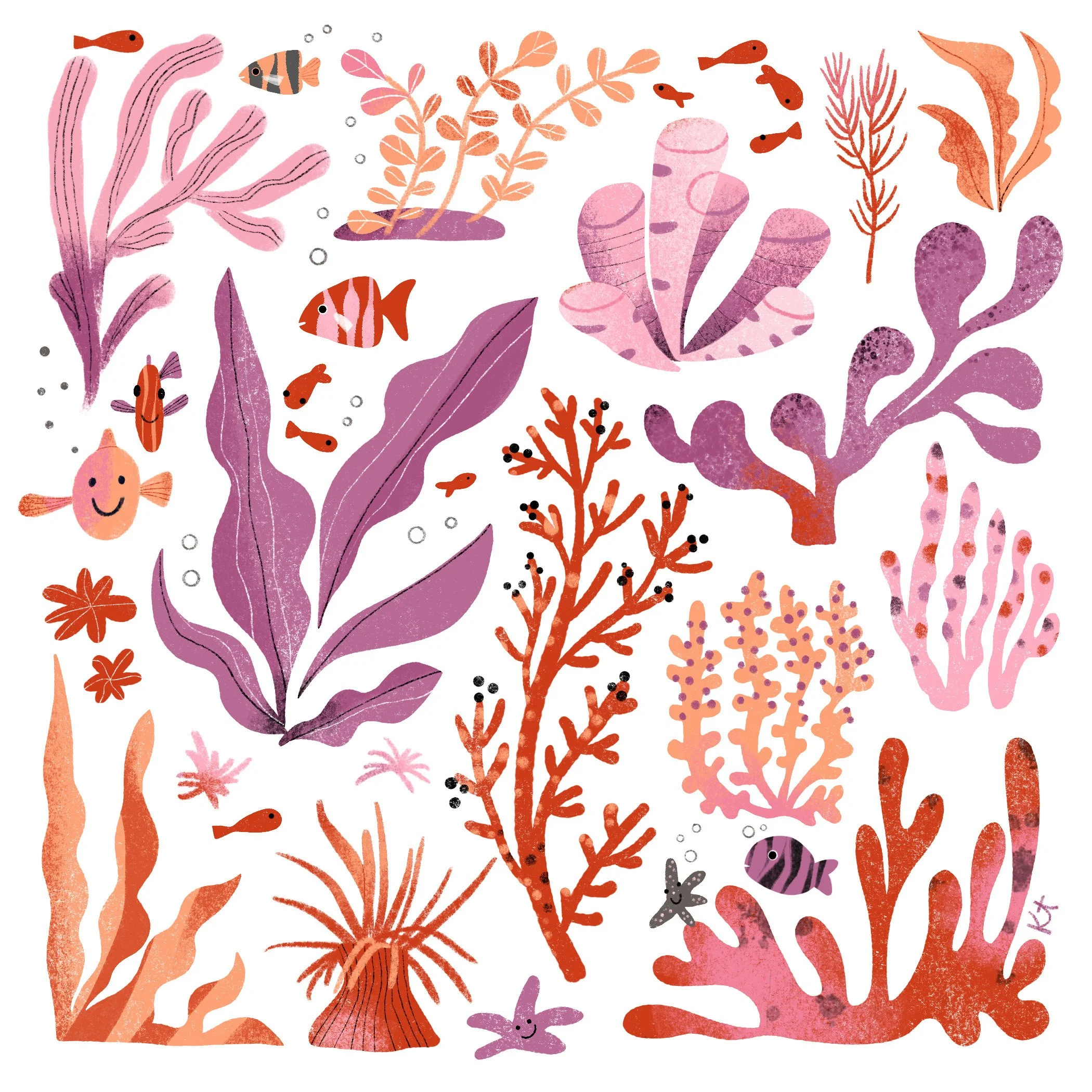 Coral copy.ex.jpg