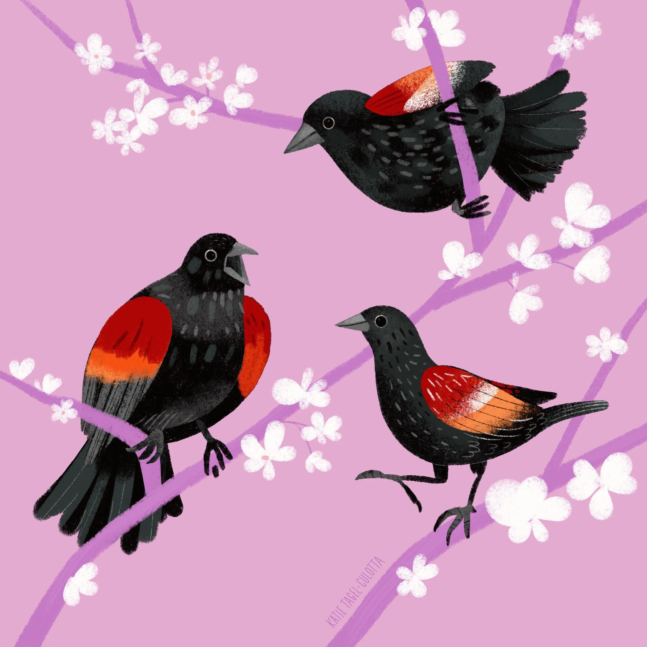 26_Red_Winged_Black_Birds.ex.jpg