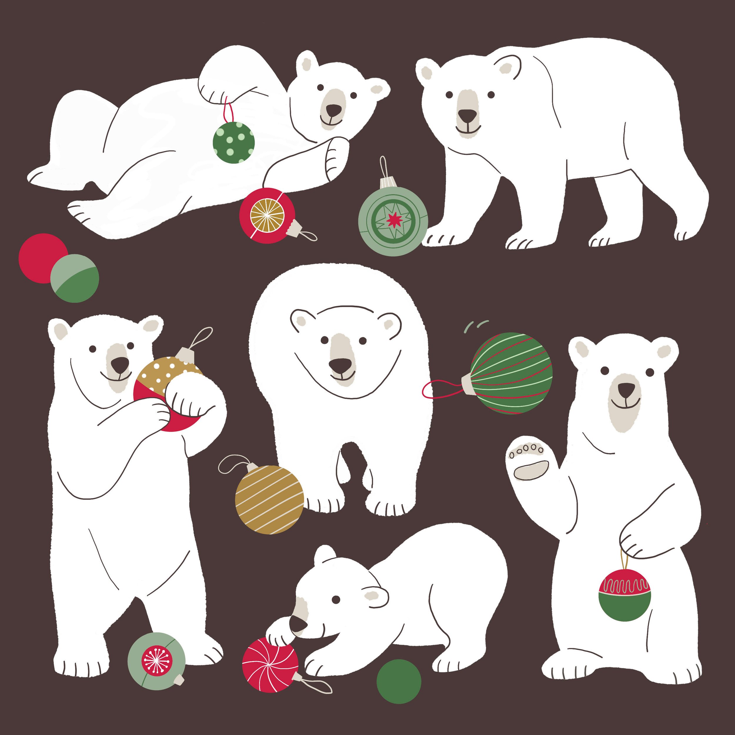 PV.1.BEARS.limited.ex.jpg