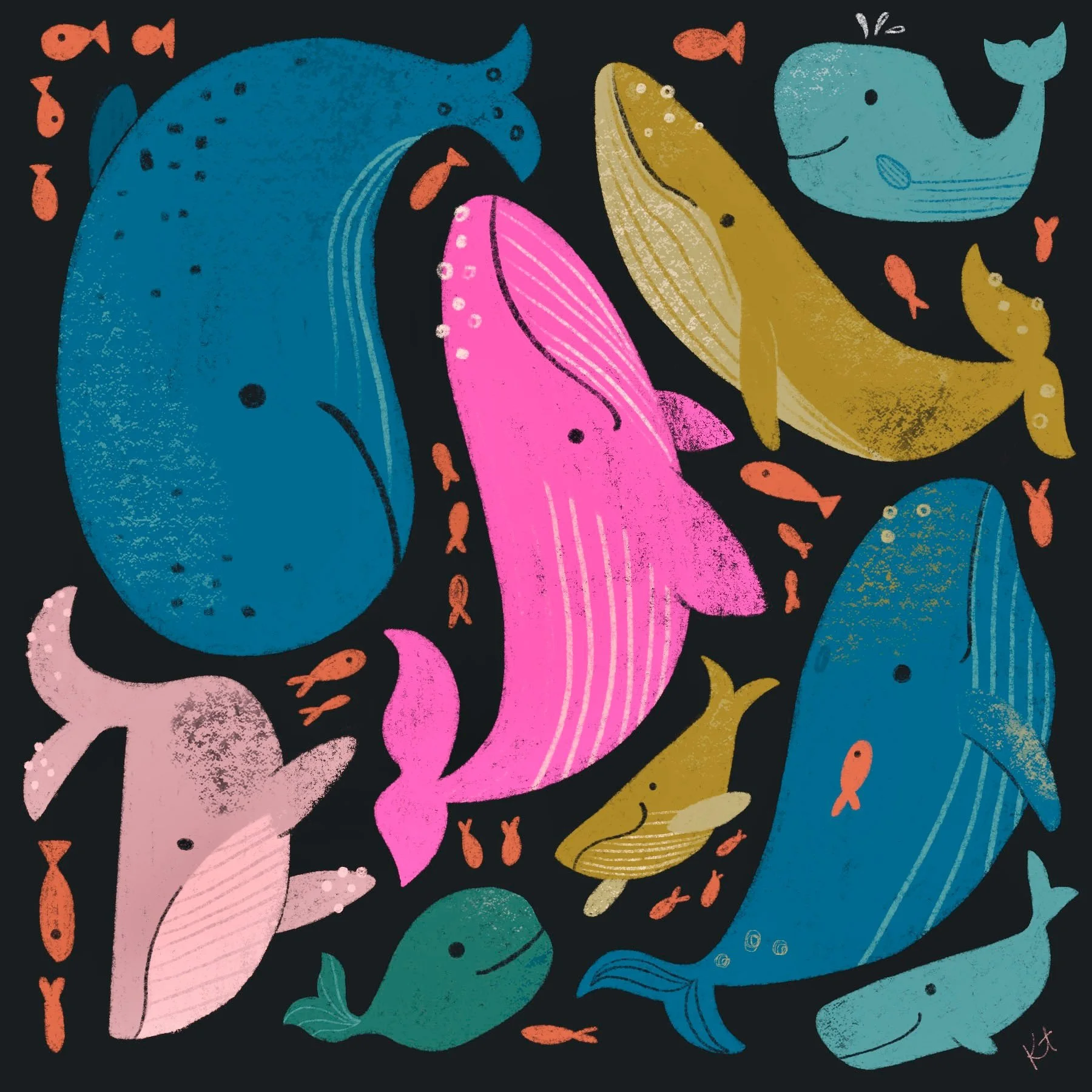 Whale Themed Collection