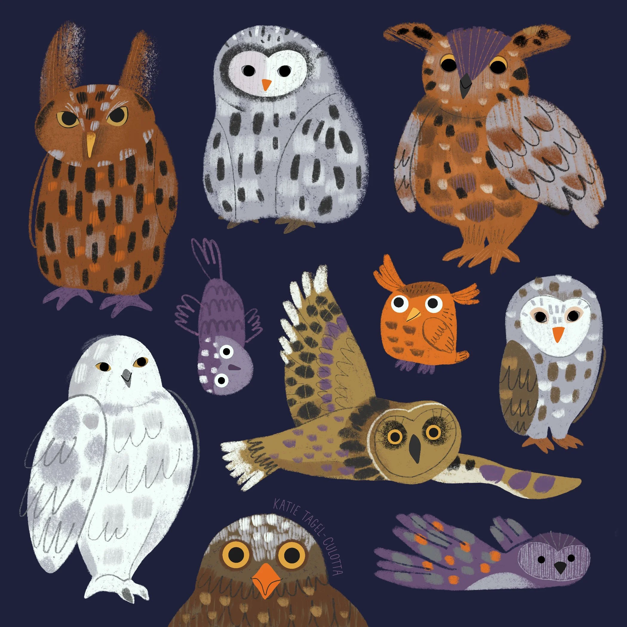 26_Owls copy.ex.jpg