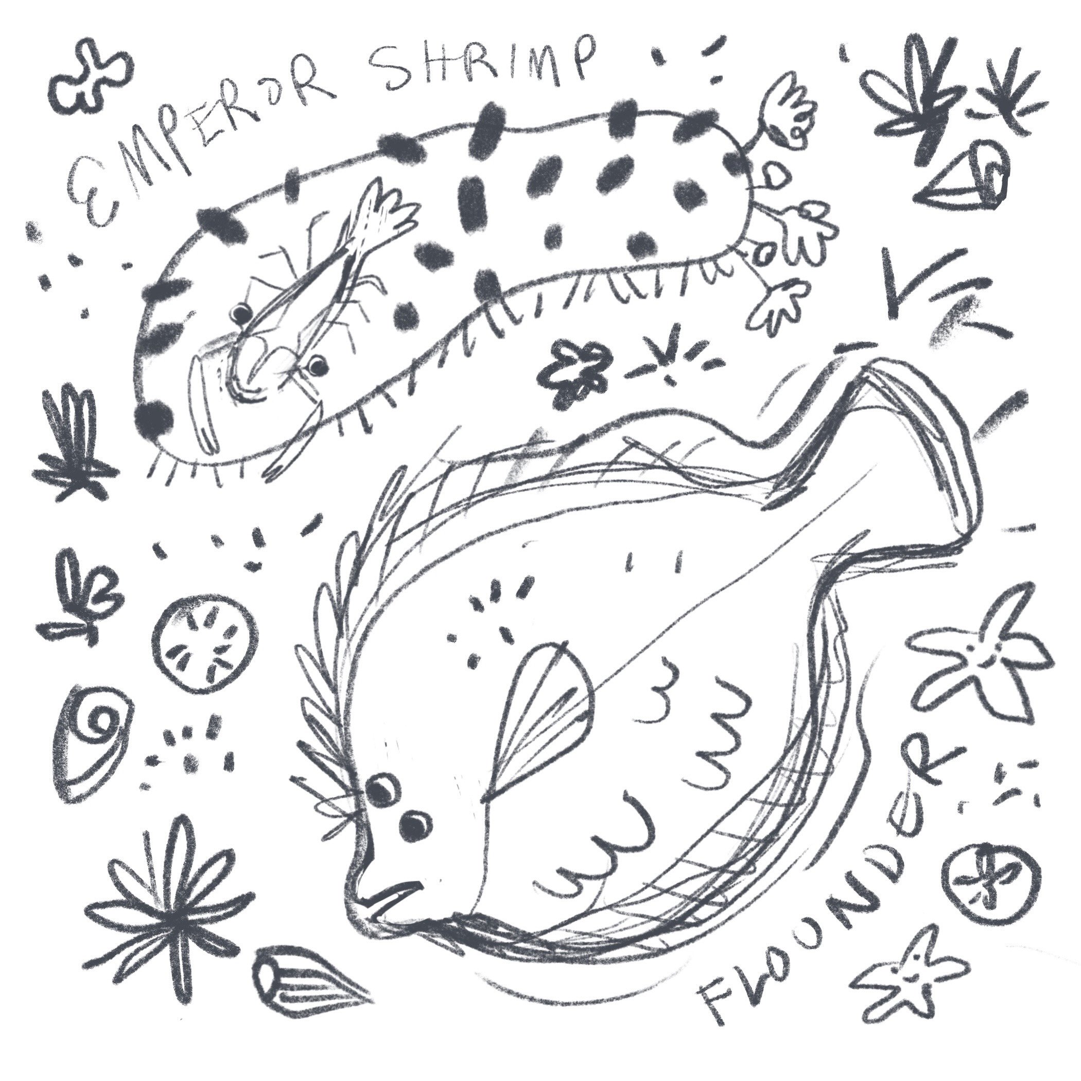 IMG_0585.sketch.ex.jpg