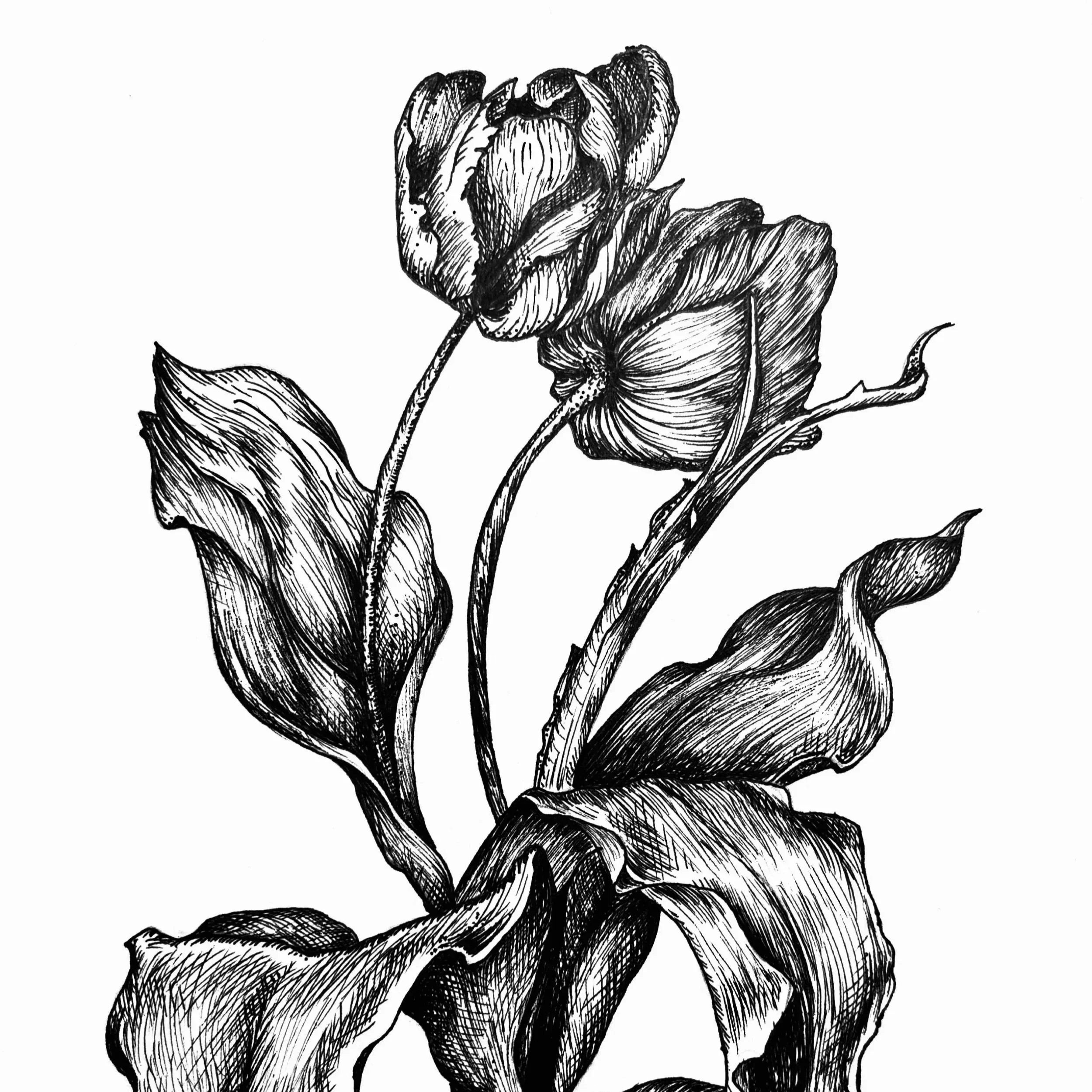 Drawing, Painting & Sculpture