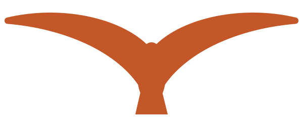 A flying bird