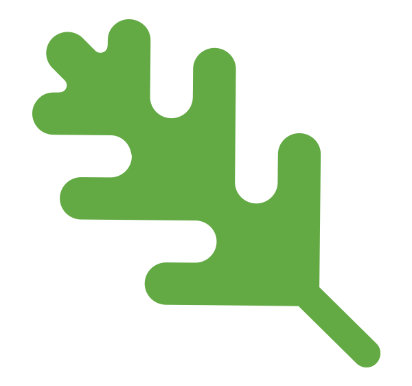 Green oak leaf