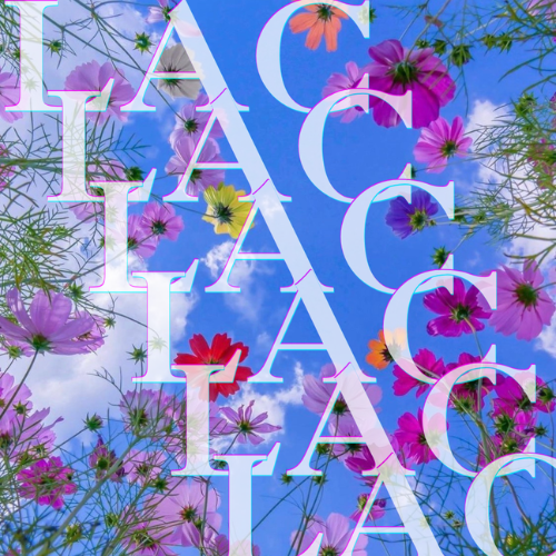 LAC Floral 500^2.png