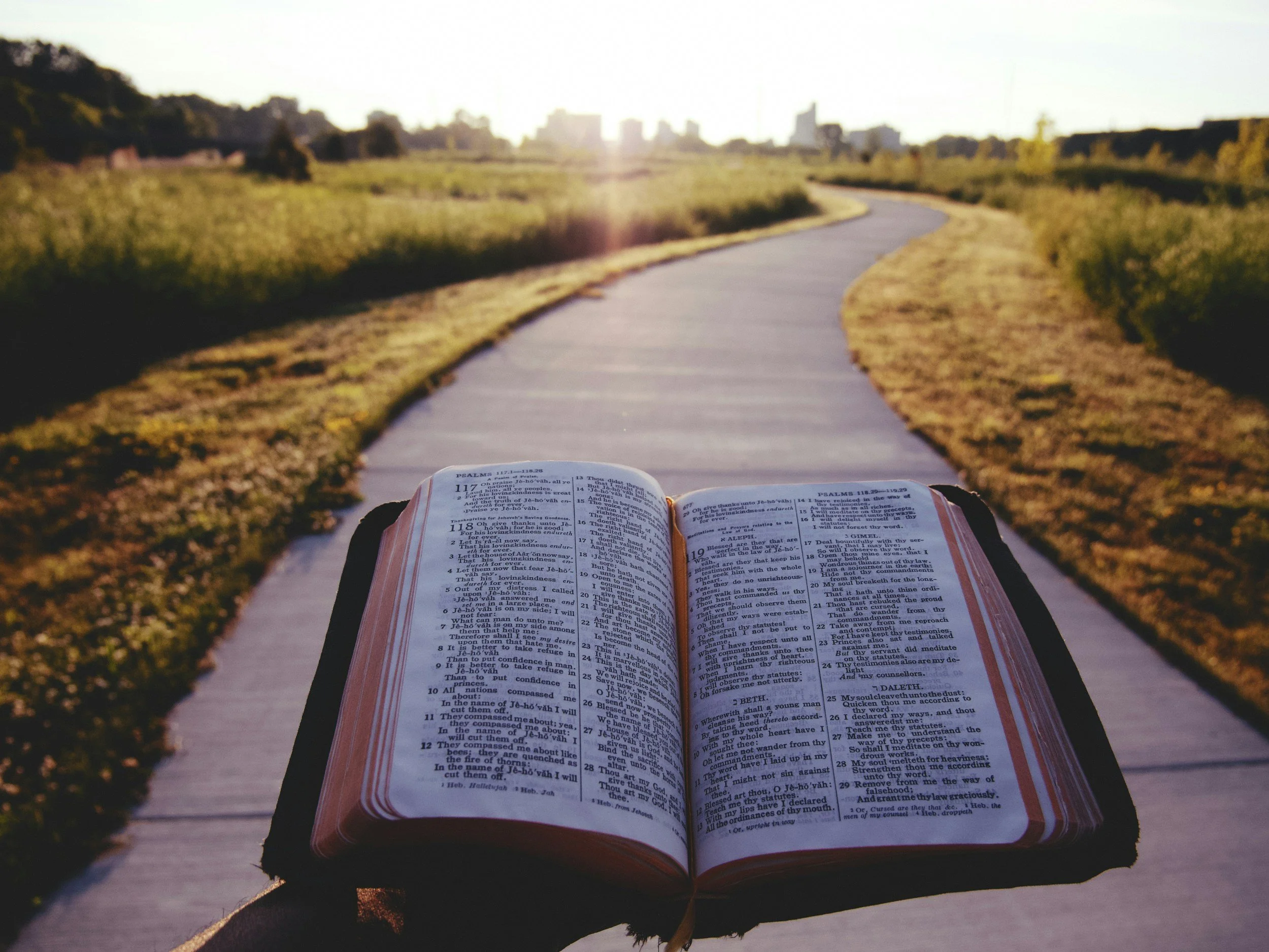 Open Bible resting on a park bench with a walking trail and city skyline in the background, during sunset.