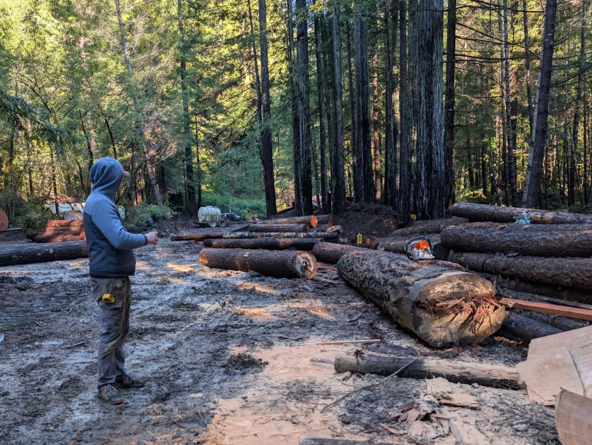 Selecting the Timber for The Anvil