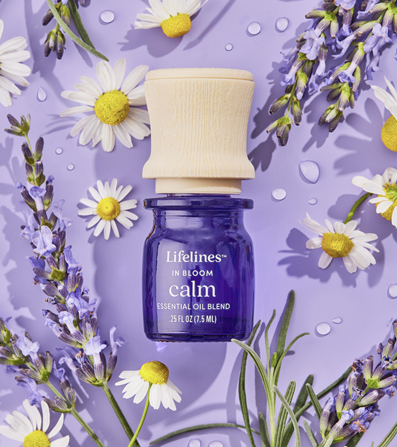 A purple bottle of Lifelines Calm essential oil blend surrounded by daisies, lavender, and water droplets, set against a purple background.