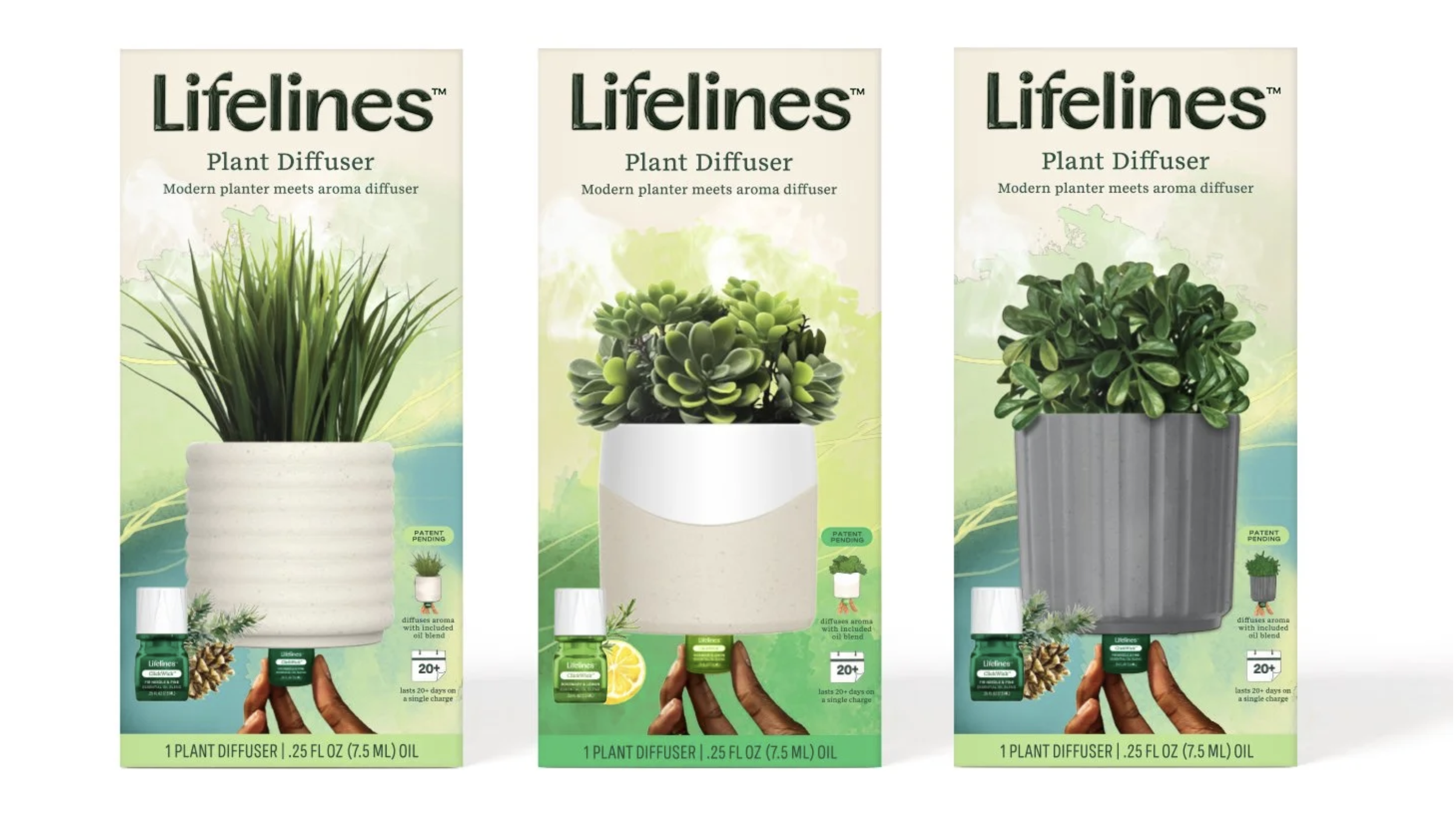 Three plant diffuser product packages featuring different potted plants on the front, labeled Lifelines Plant Diffuser. The first has tall grass, the second has a succulent, and the third has a leafy green plant. Each package indicates the diffuser l