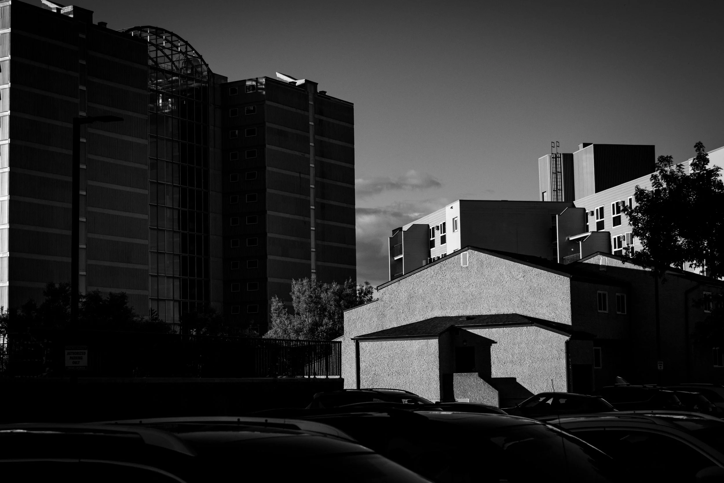 Black and white photo of modern apartment buildings, some with glass windows reflecting light, with trees in the foreground and cars parked at the bottom.