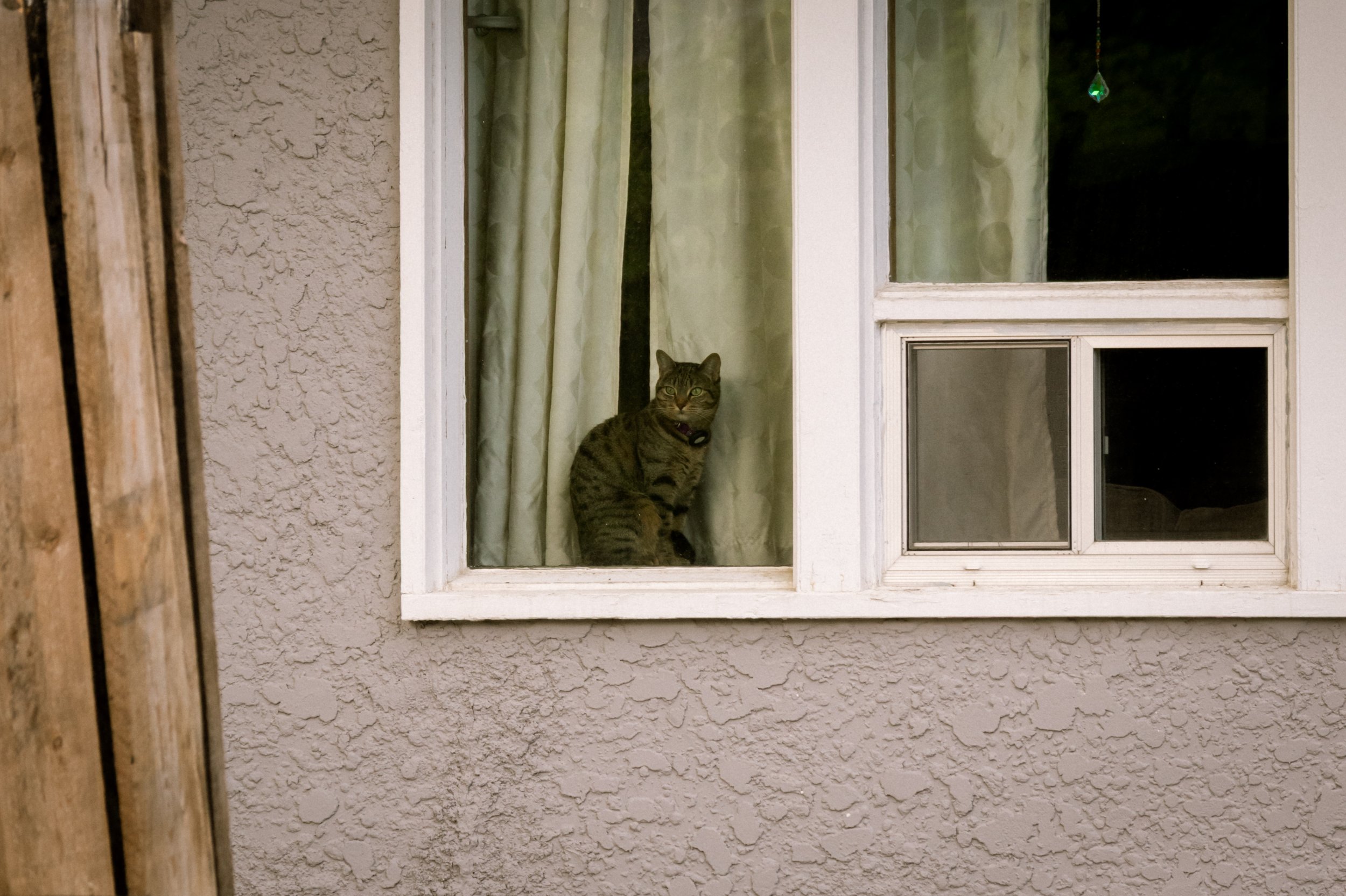 _J8A8935.jpeg