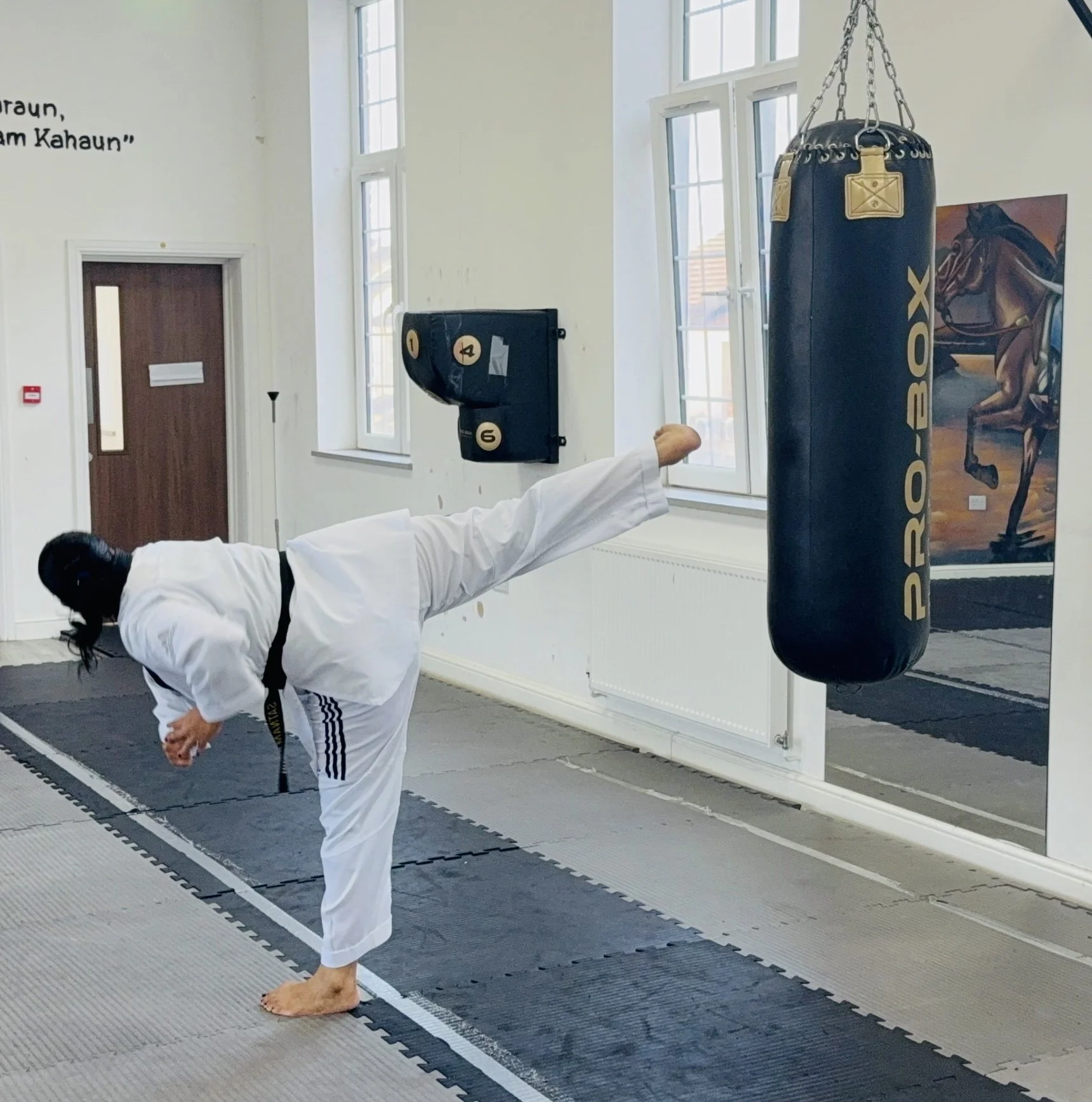 One of my favourites: Dwi Chagi. Back kick. 