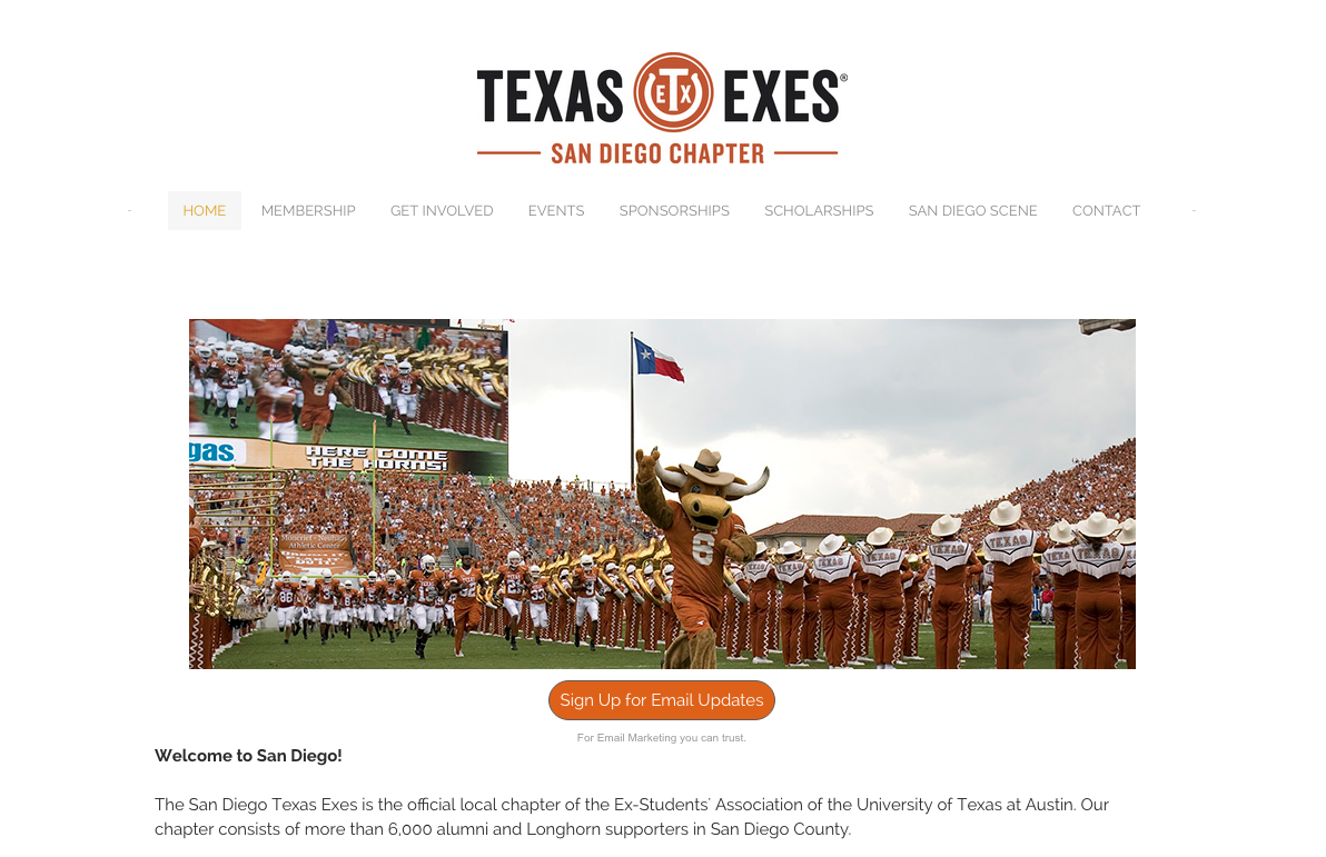 Chapter website for the San Diego Texas Exes: full site design including navigation, hero, and member copy. Copy, design and build.