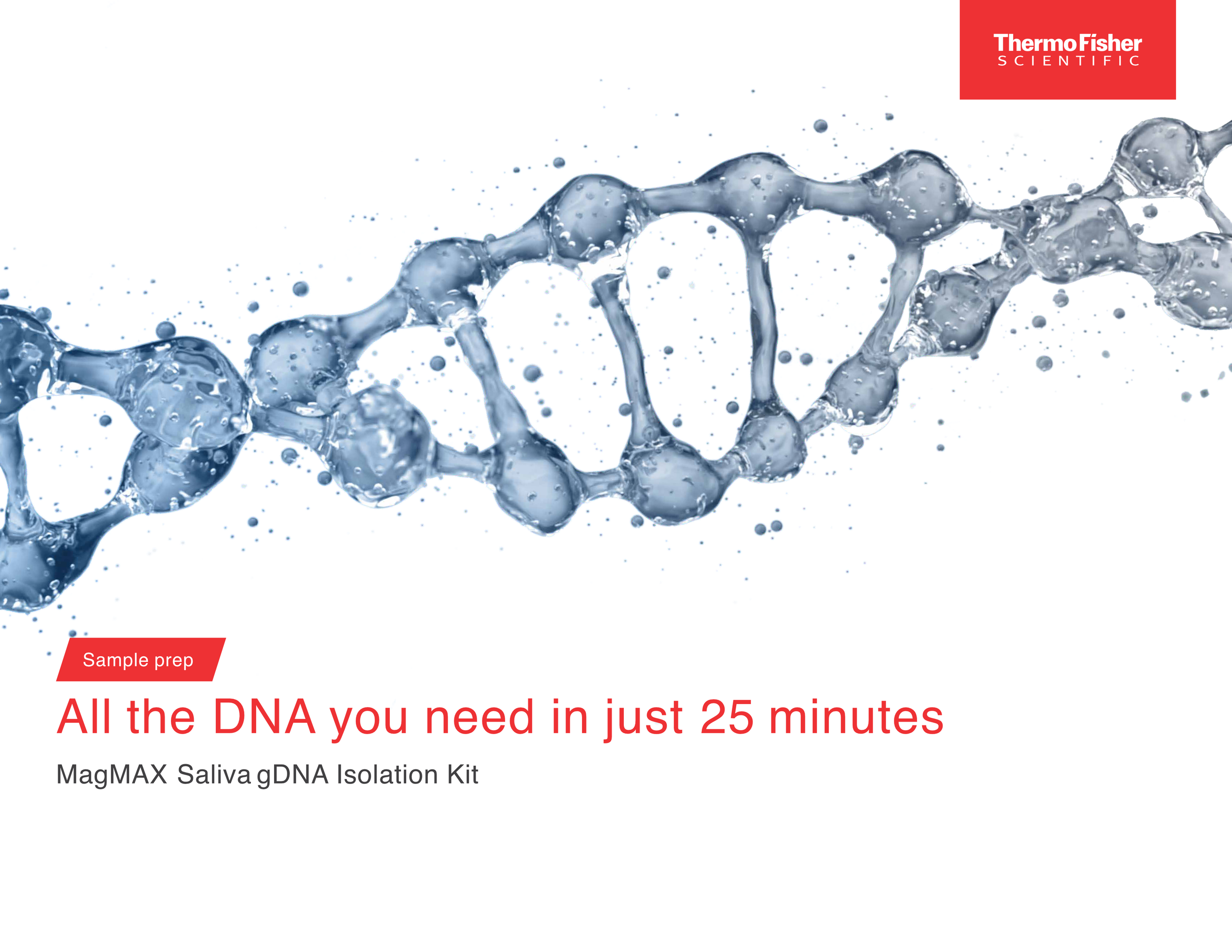 Product brochure for the MagMAX Saliva gDNA Isolation Kit: workflow diagrams, performance data, and competitive positioning. Program managed production. Creative operations.