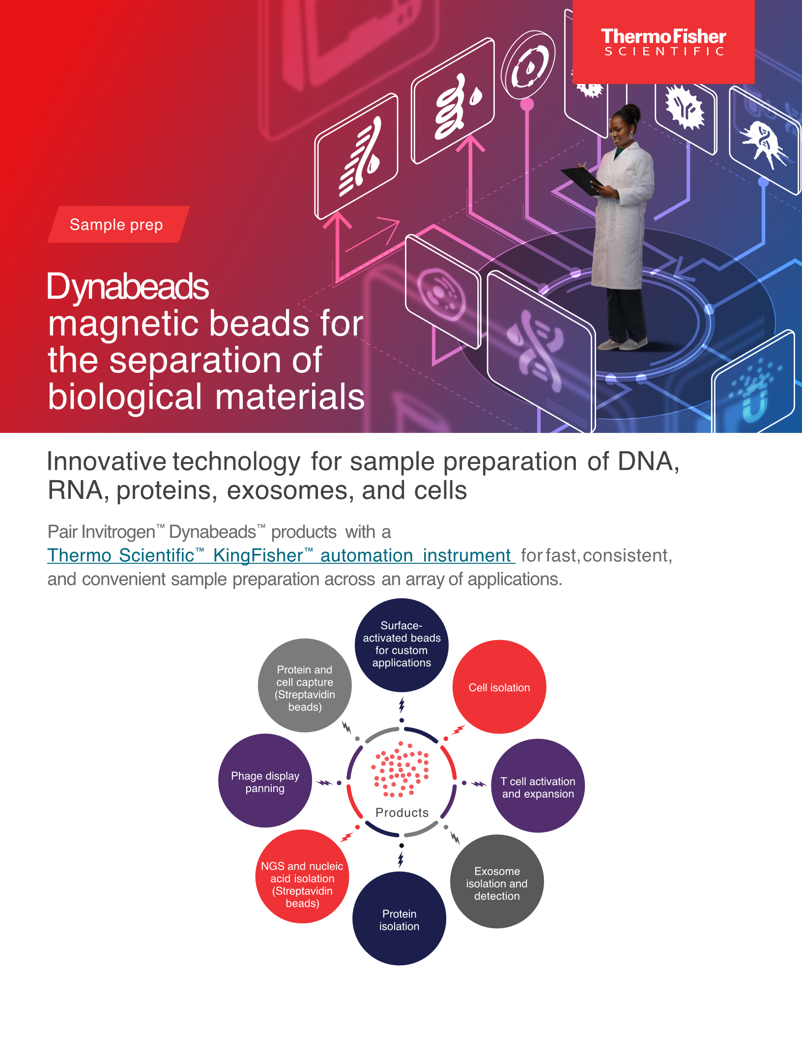 Product flyer for Invitrogen Dynabeads magnetic beads: separation of biological materials across DNA, RNA, proteins, cells, and exosomes. Program managed production. Creative operations.