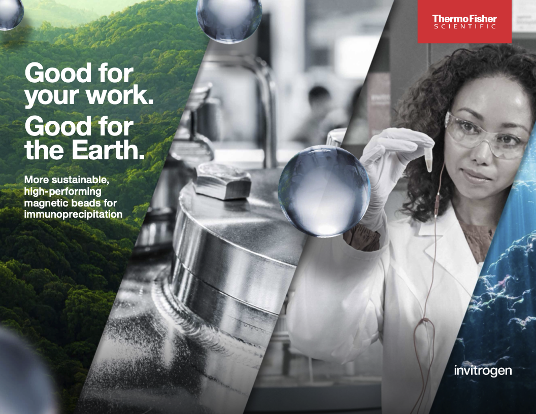 8-page sustainability-focused product brochure for Invitrogen DynaGreen magnetic beads, covering benchmarking data, mass spectrometry workflows, and green-design highlights. Program managed production. Creative operations.