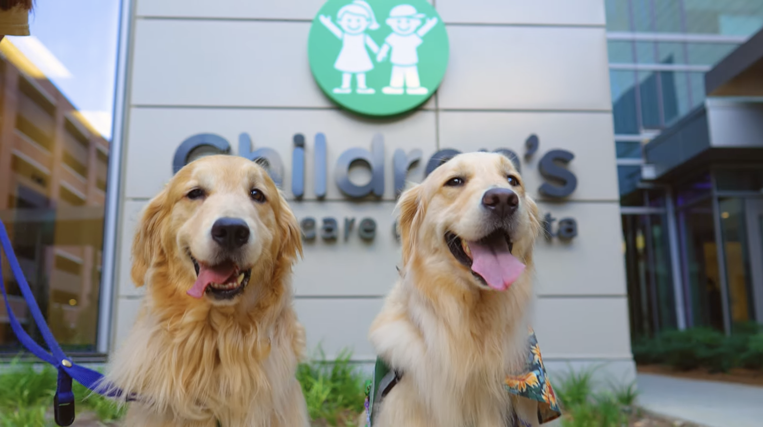 Video for the ACS PAWS (Pups Assisting With Support) program: animal-assisted therapy in pediatric oncology featuring Children's Healthcare of Atlanta. Project managed production.