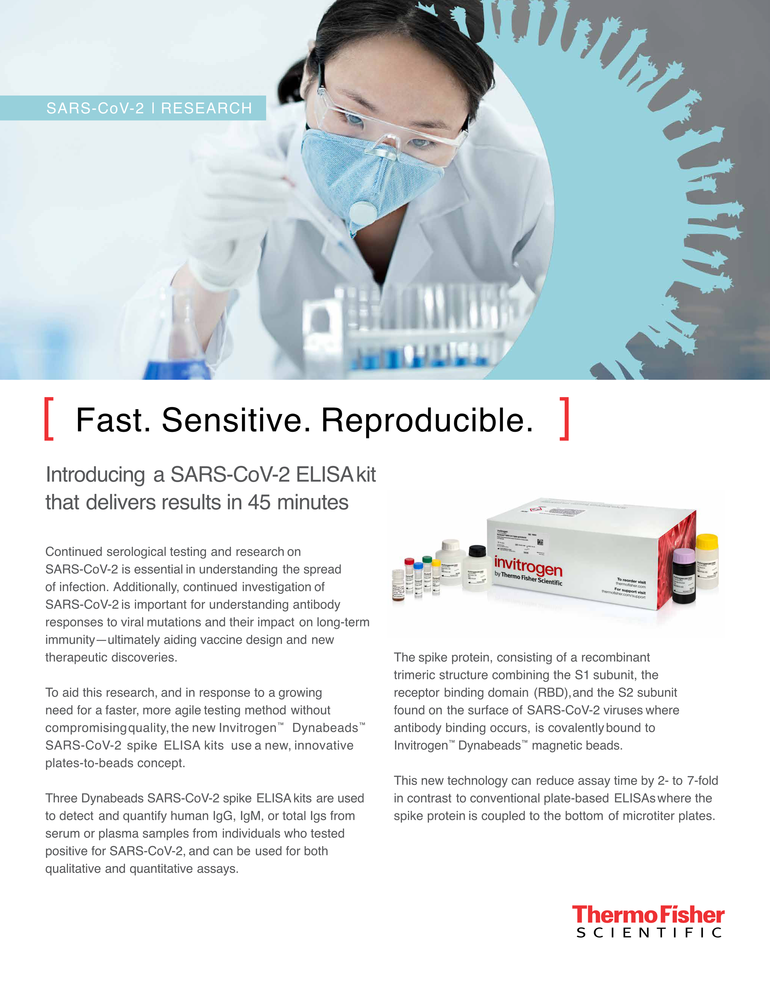 Product launch flyer for the Dynabeads SARS-CoV-2 Spike ELISA kits: fast, sensitive, reproducible results in 45 minutes. Program managed production. Creative operations.