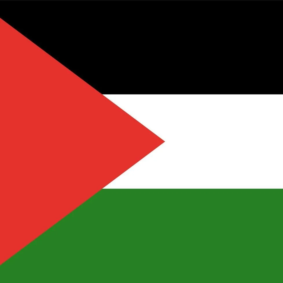Palestine flag