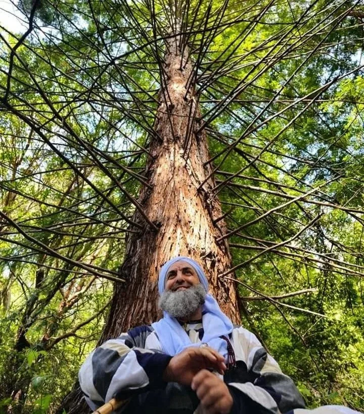 A man with a gray beard and blue headscarf standing in front of a tall tree in a forest, looking upward with a smile.