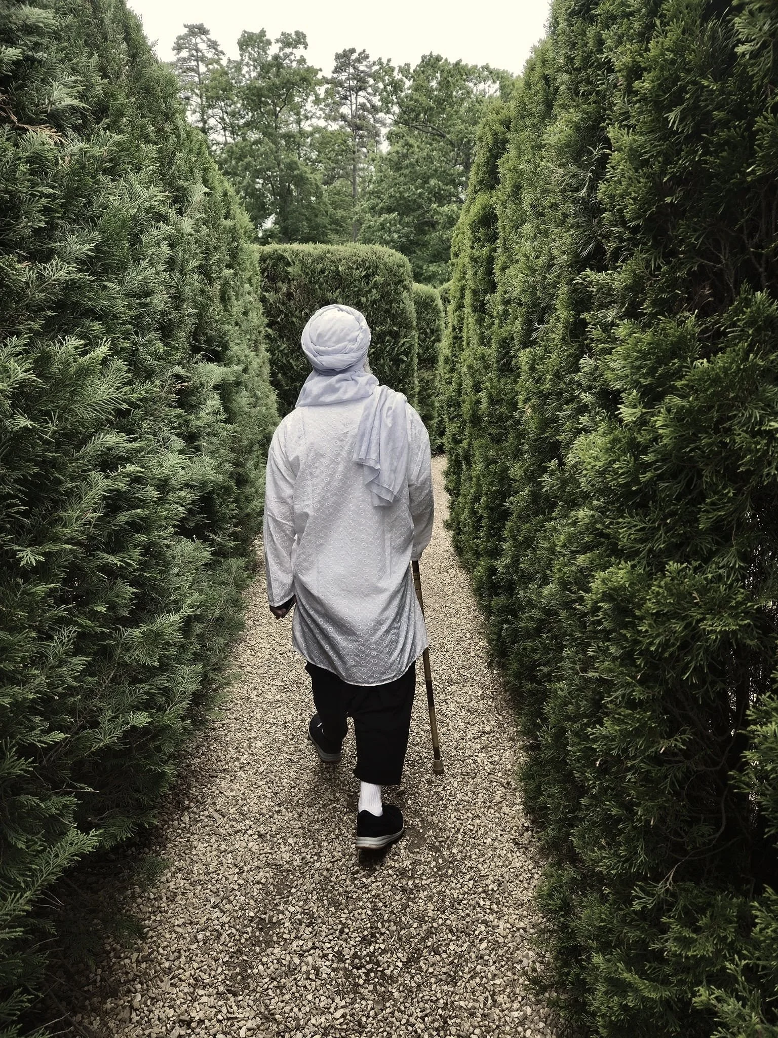 Person walking through a narrow gravel path flanked by tall, dense green hedges, with trees visible in the background.