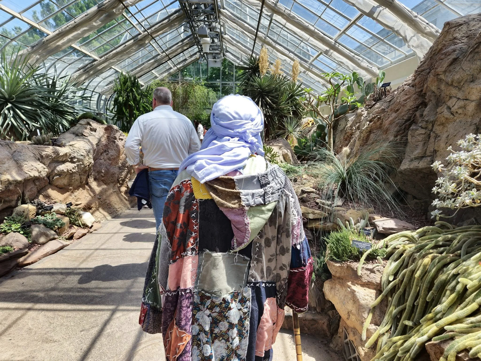 People walking through a large greenhouse filled with various desert and tropical plants, including cacti and succulents, with a glass ceiling overhead.
