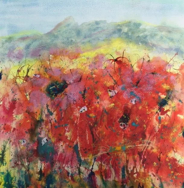 Breton Poppies.jpeg