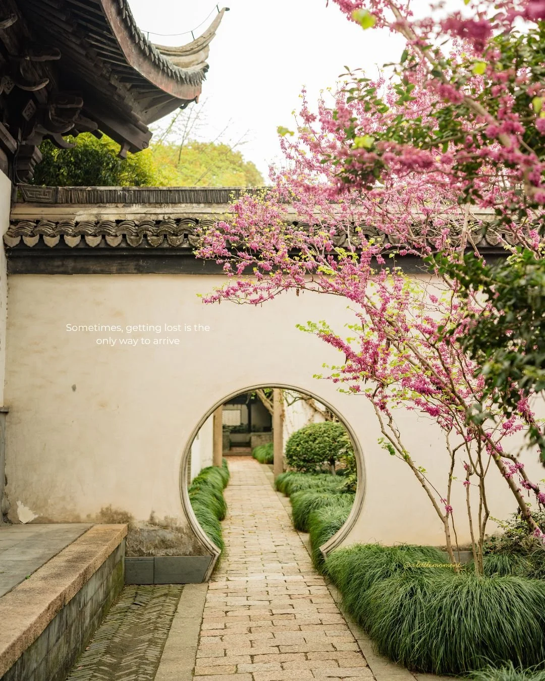 A traditional Asian courtyard with a stone pathway behind a round moon gate, surrounded by pink flowering trees and green plants, with an ornate roof in the background and a quote on the wall that says, "Sometimes, getting lost is the only way to arrive."