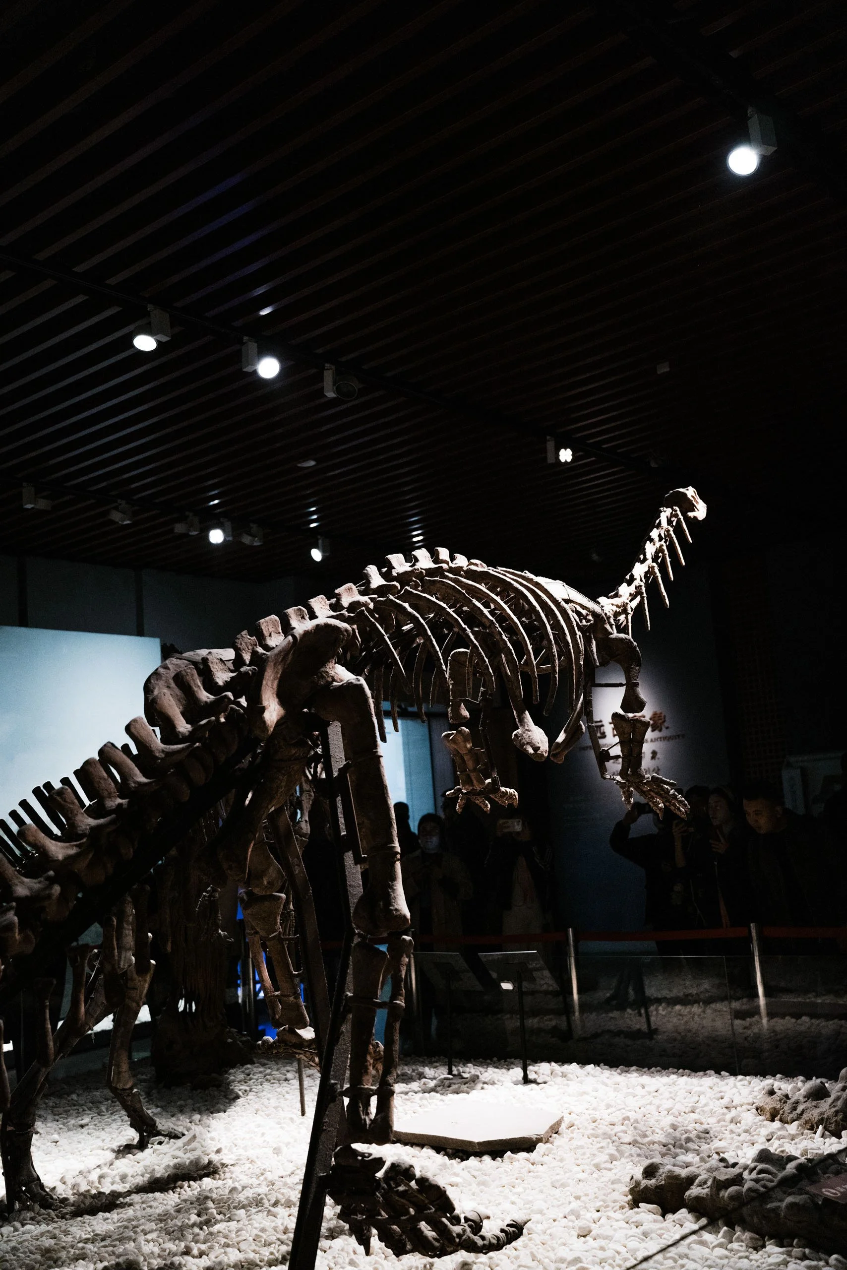 TIN-01616.jpg