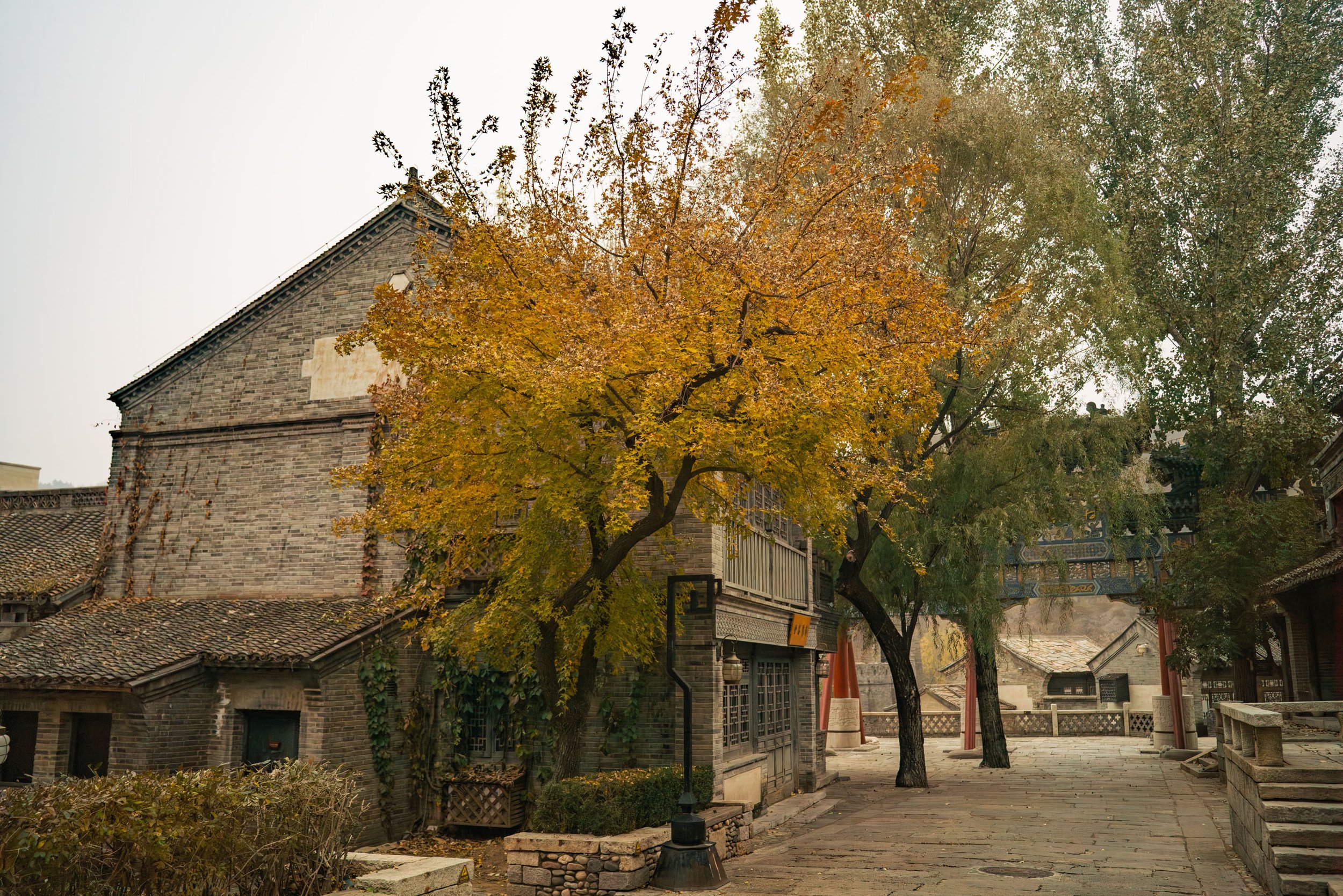 TIN-01828.jpg