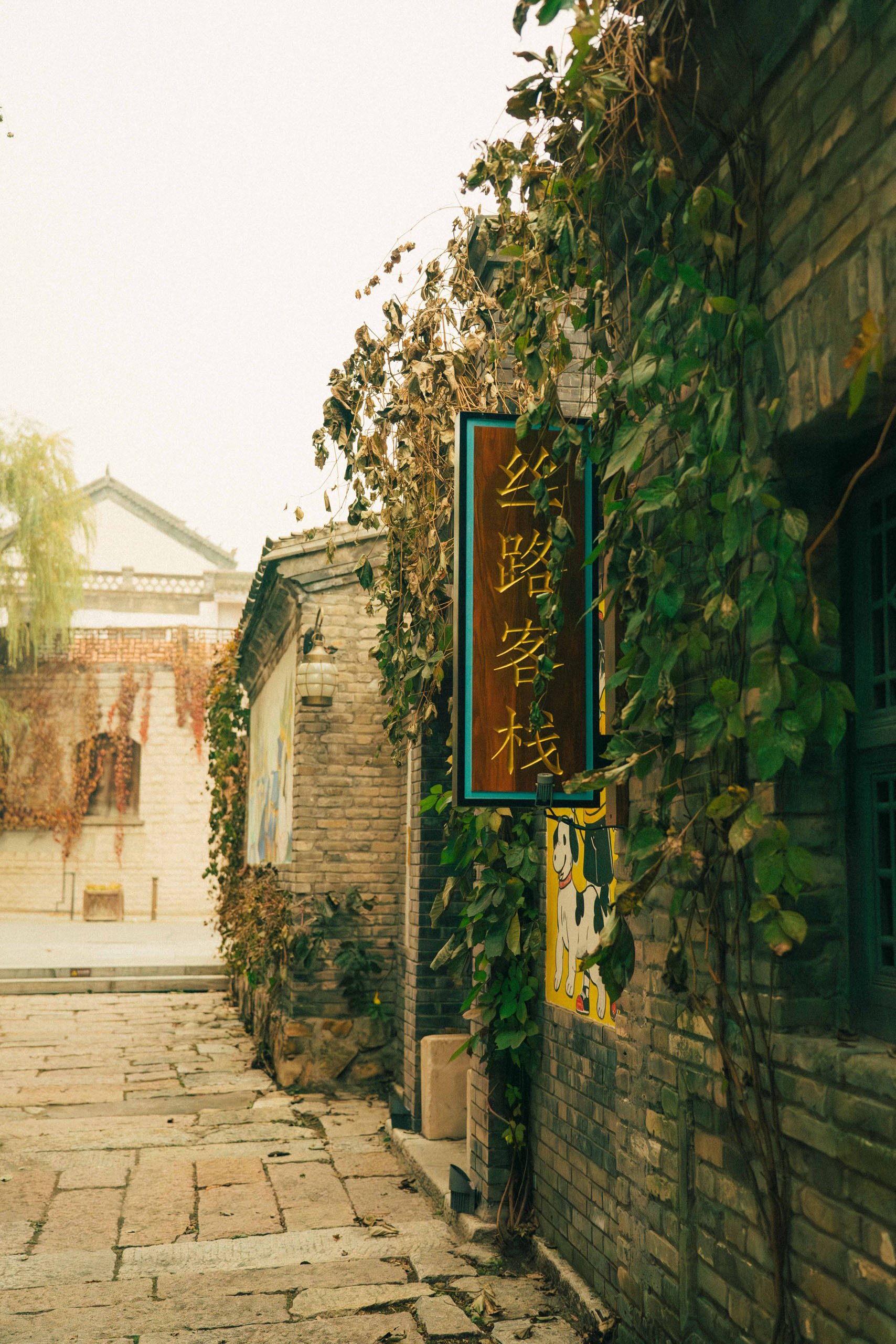 TIN-01894.jpg
