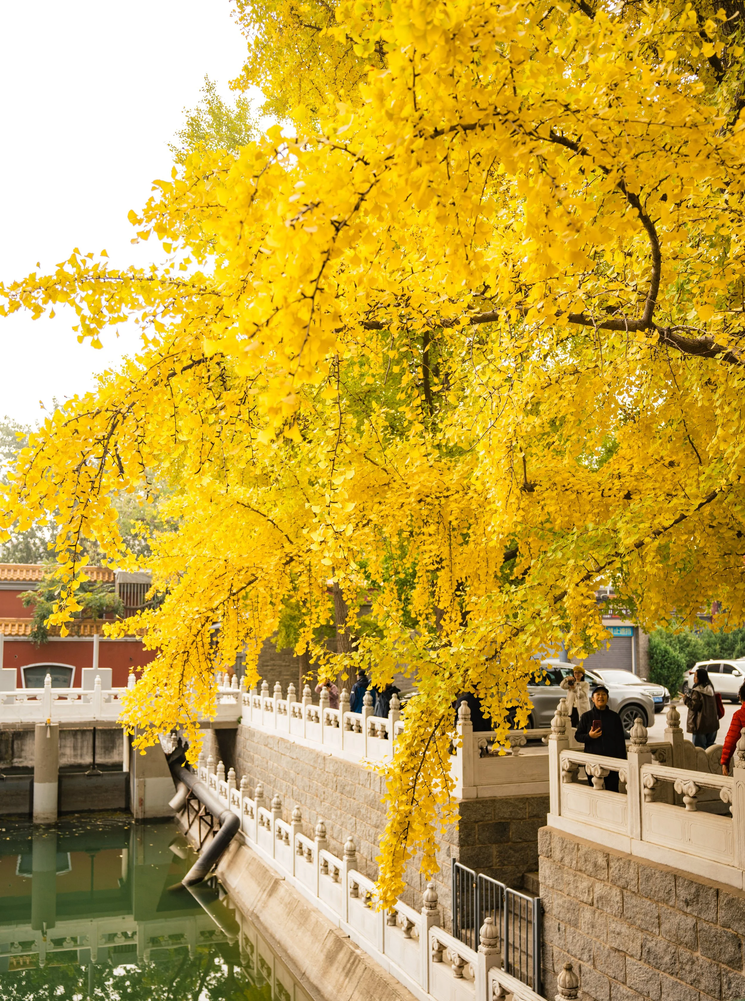 TIN-02938.jpg