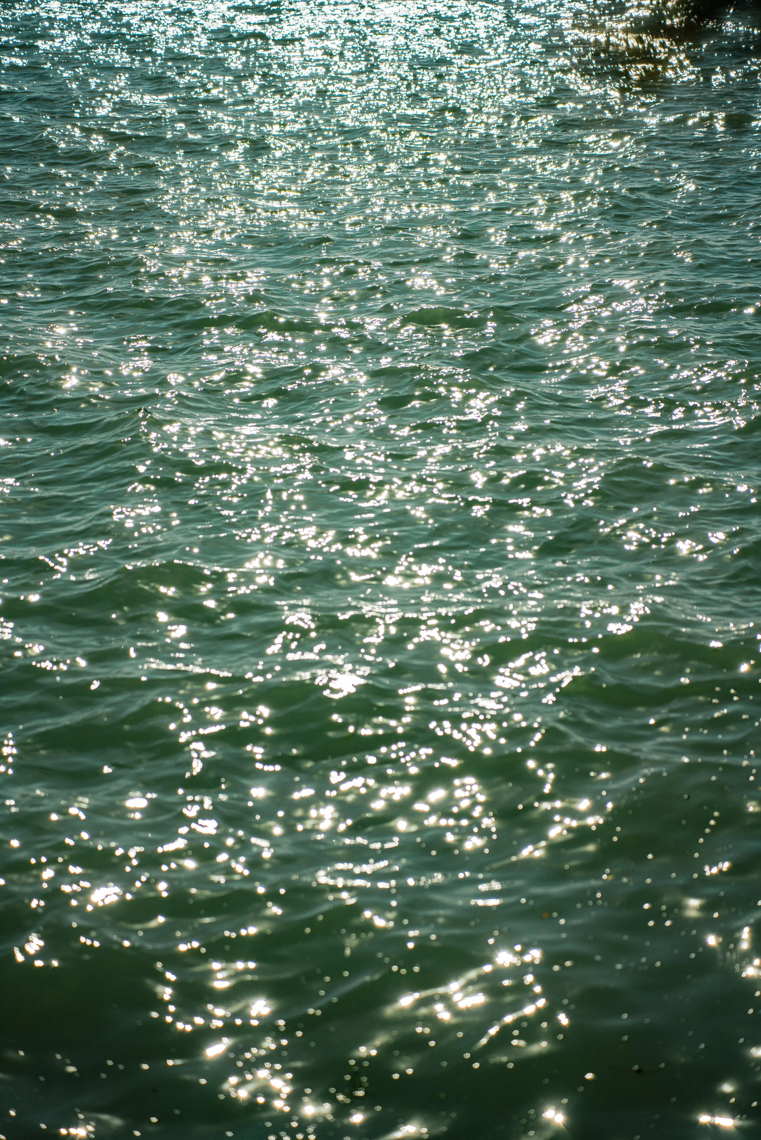 TIN-03486.jpg