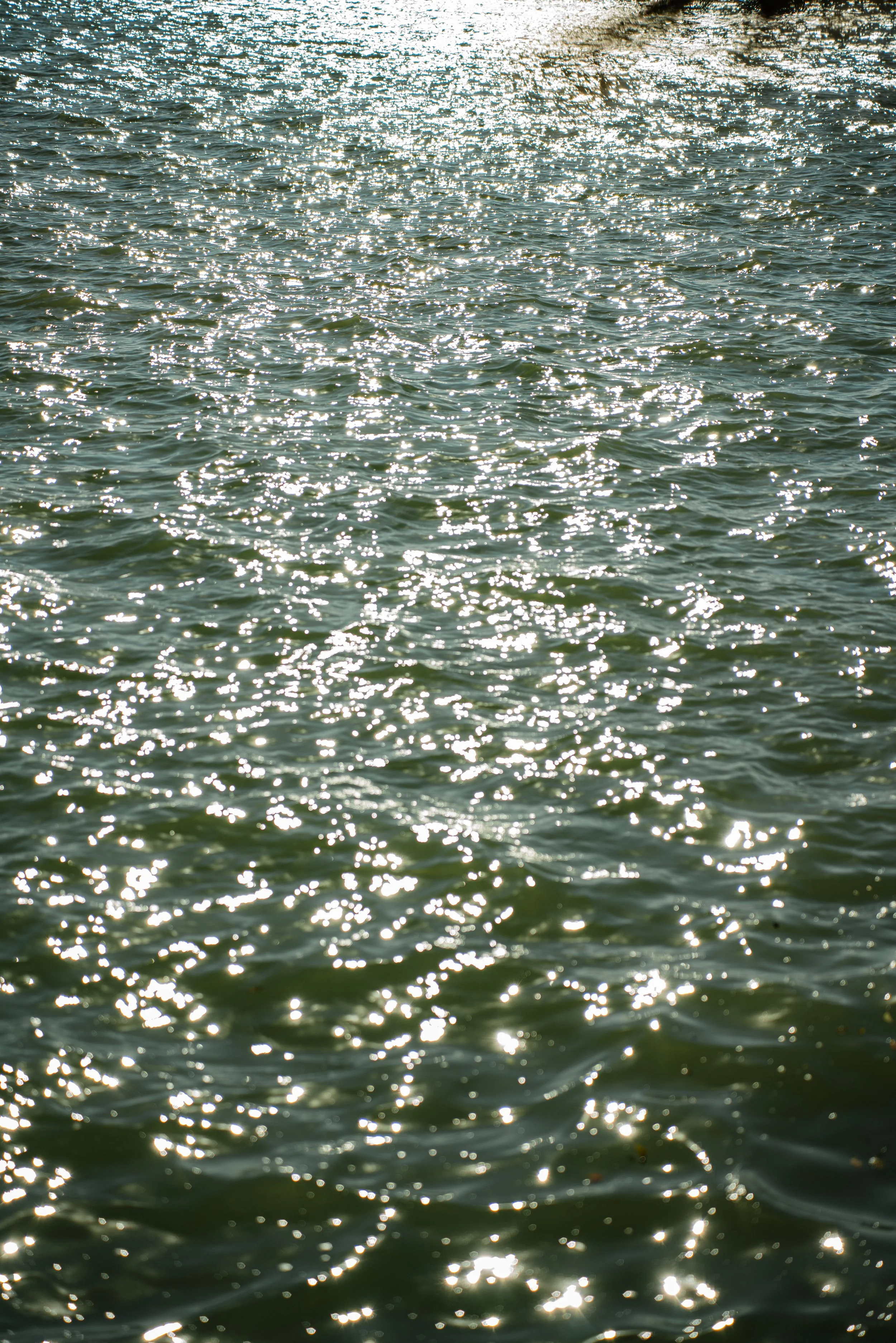 TIN-03482.jpg