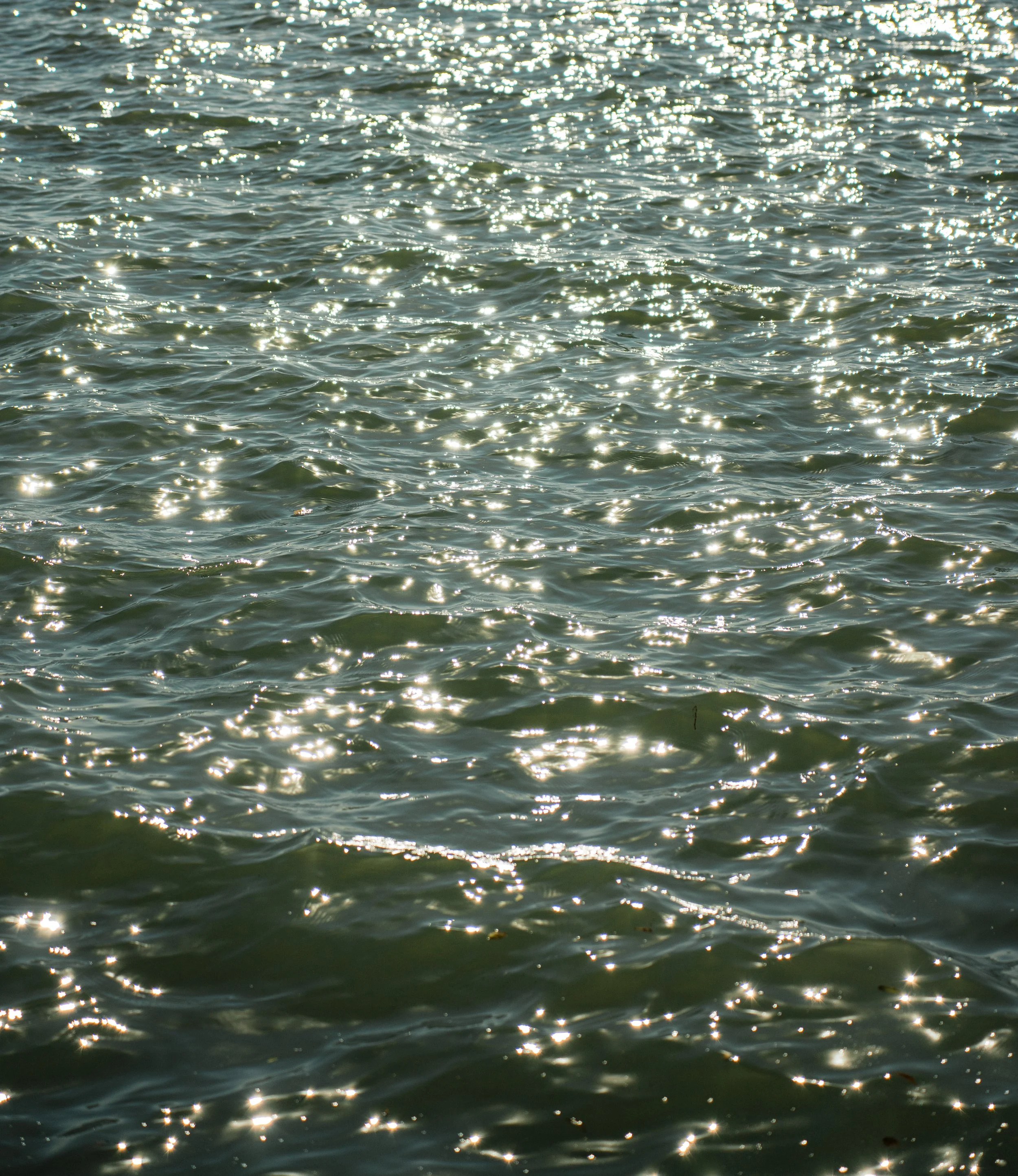 TIN-03495.jpg