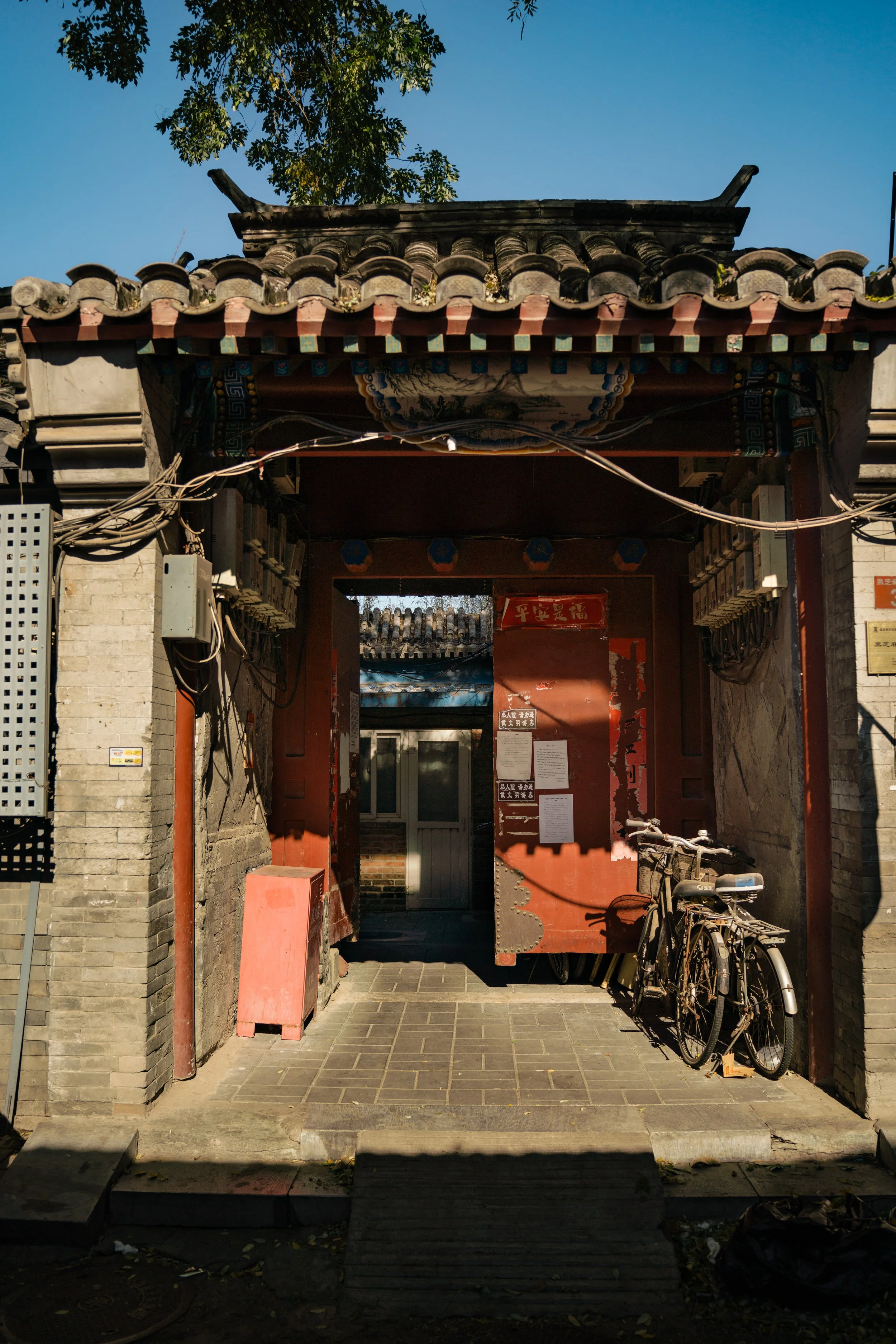 TIN-03943.jpg