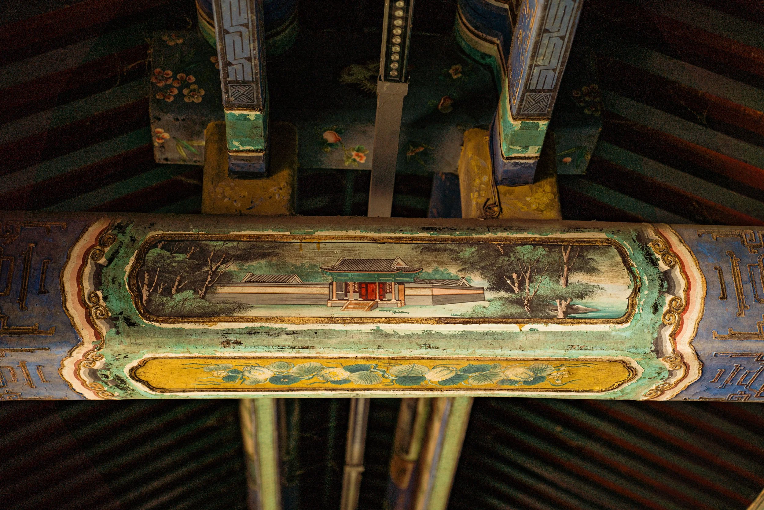 TIN-03677.jpg